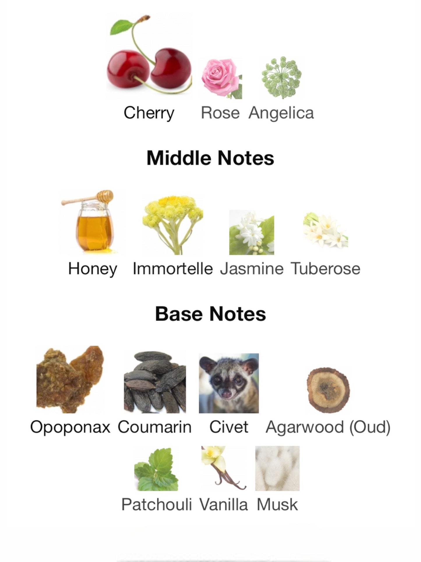 Transilvania by Calaj Extrait de Parfum