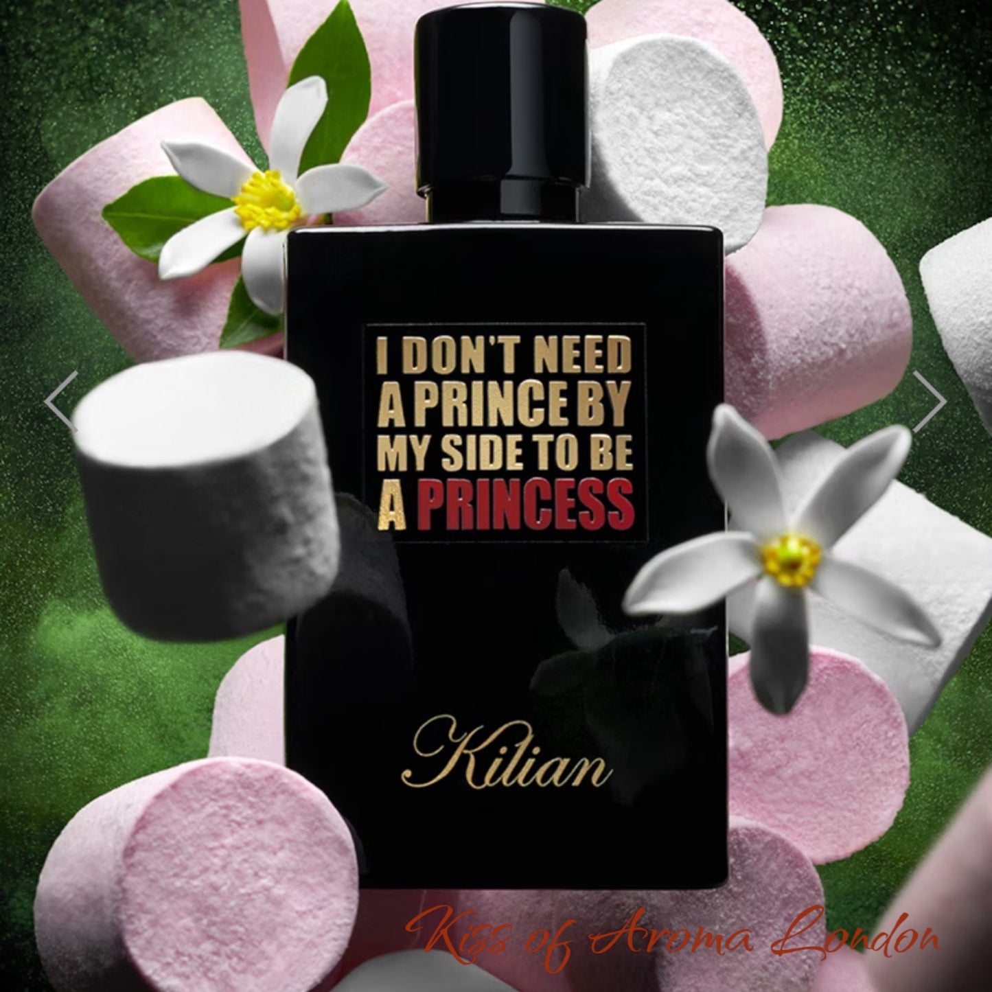 I DON'T NEED A PRINCE BY MY SIDE TO BE A PRINCESS By Kilian