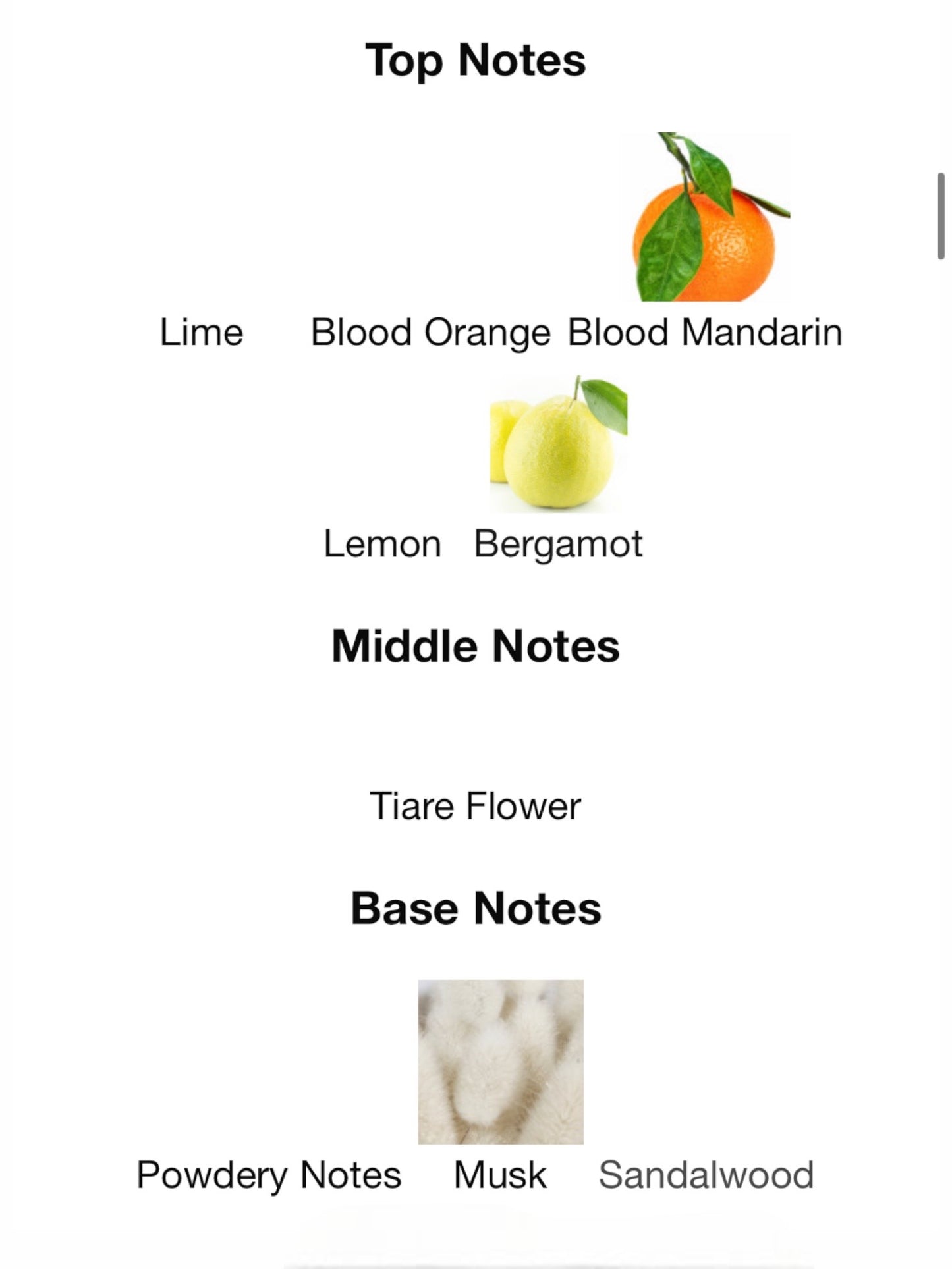 City Of Stars by Louis Vuitton Eau de Parfum