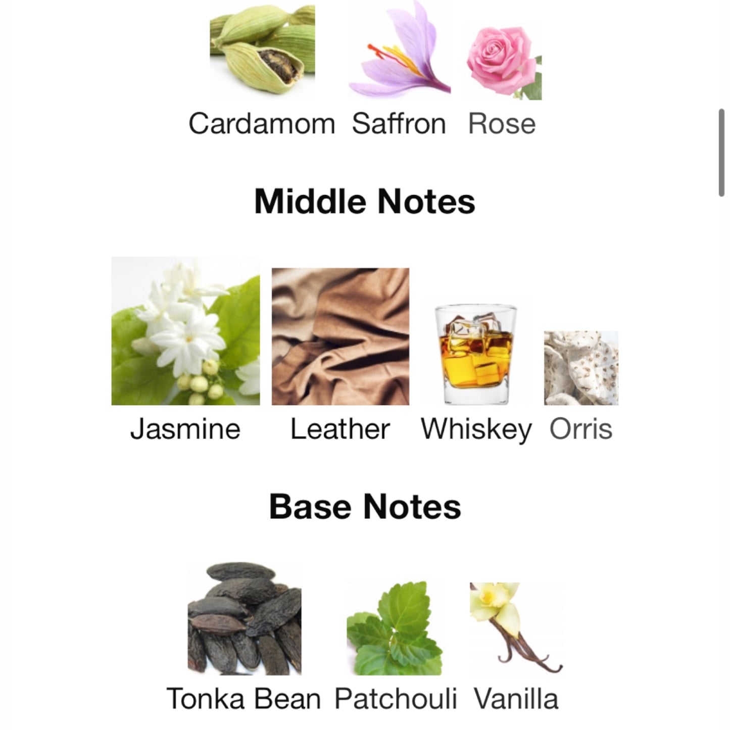 Yasmina by Kajal Perfumes Paris Eau de Parfum