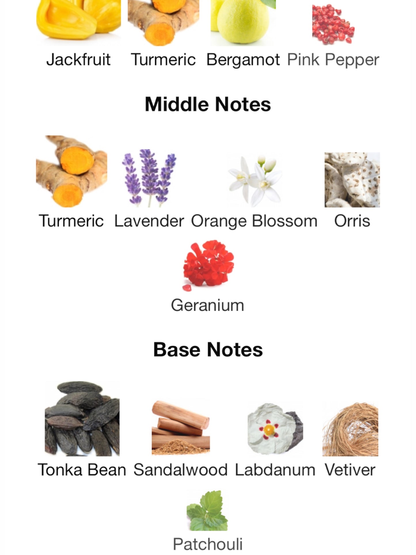 Dodo Jackfruit Edition by Zoologist Perfumes extrait de Parfum