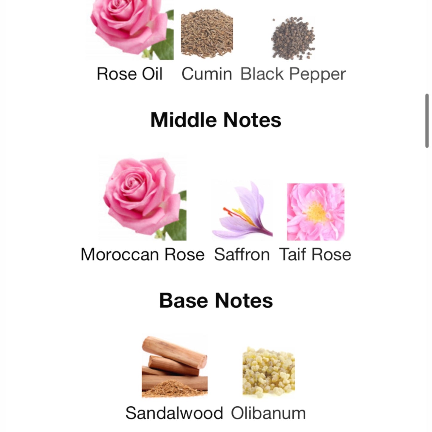 Black Rose by Illuminum Eau de Parfum