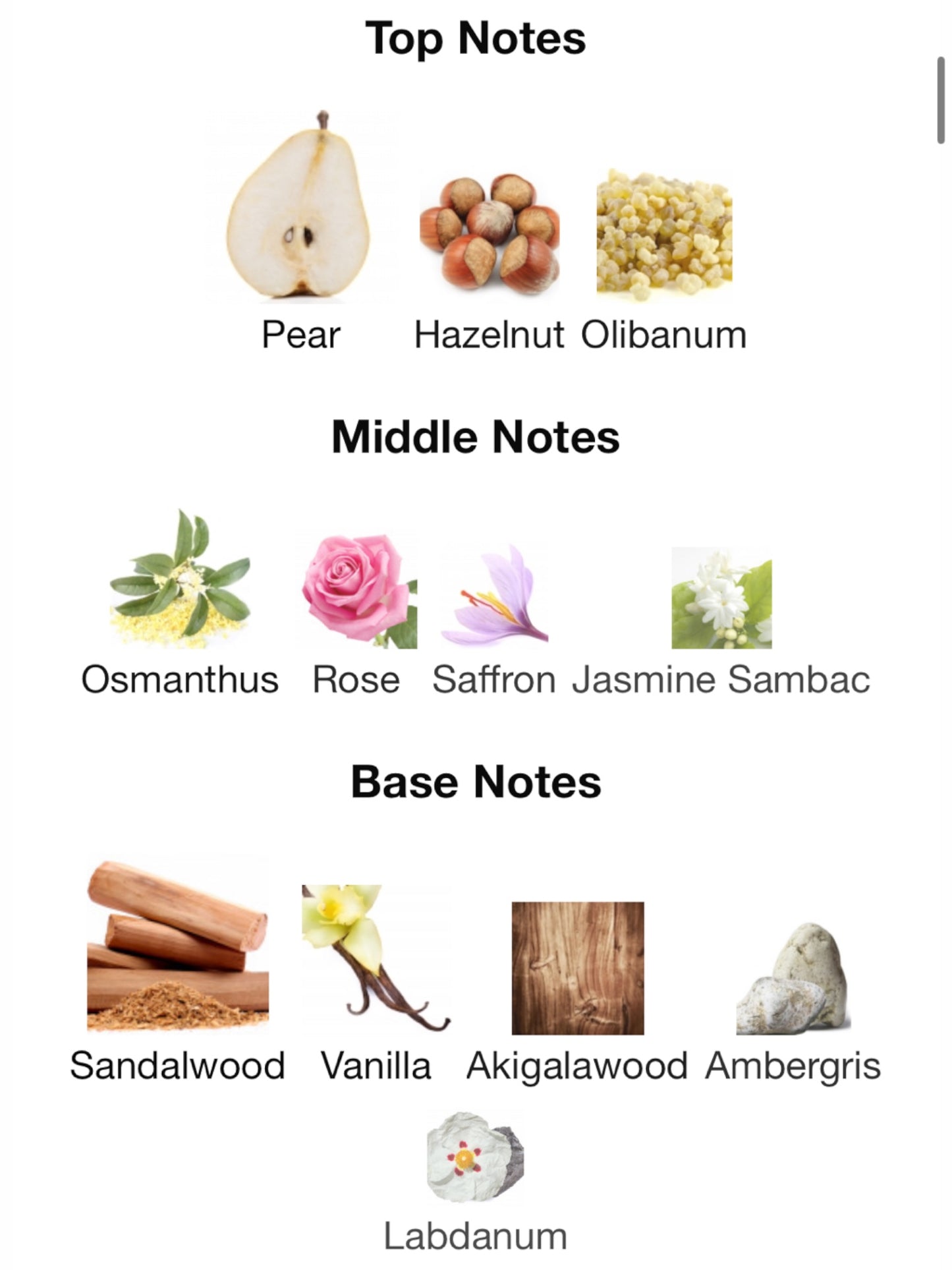 Guidance by Amouage Eau de Parfum