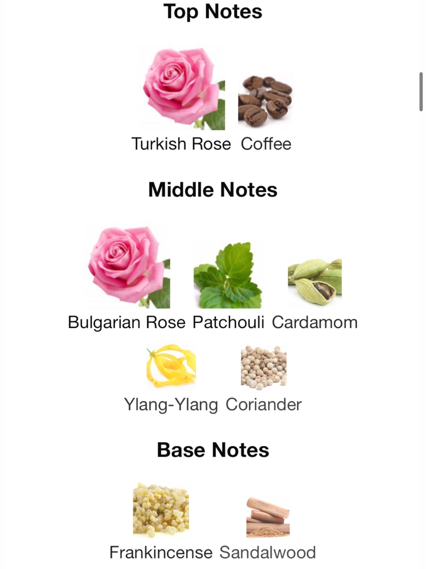 Café Rose (2023) by Tom Ford Eau de Parfum