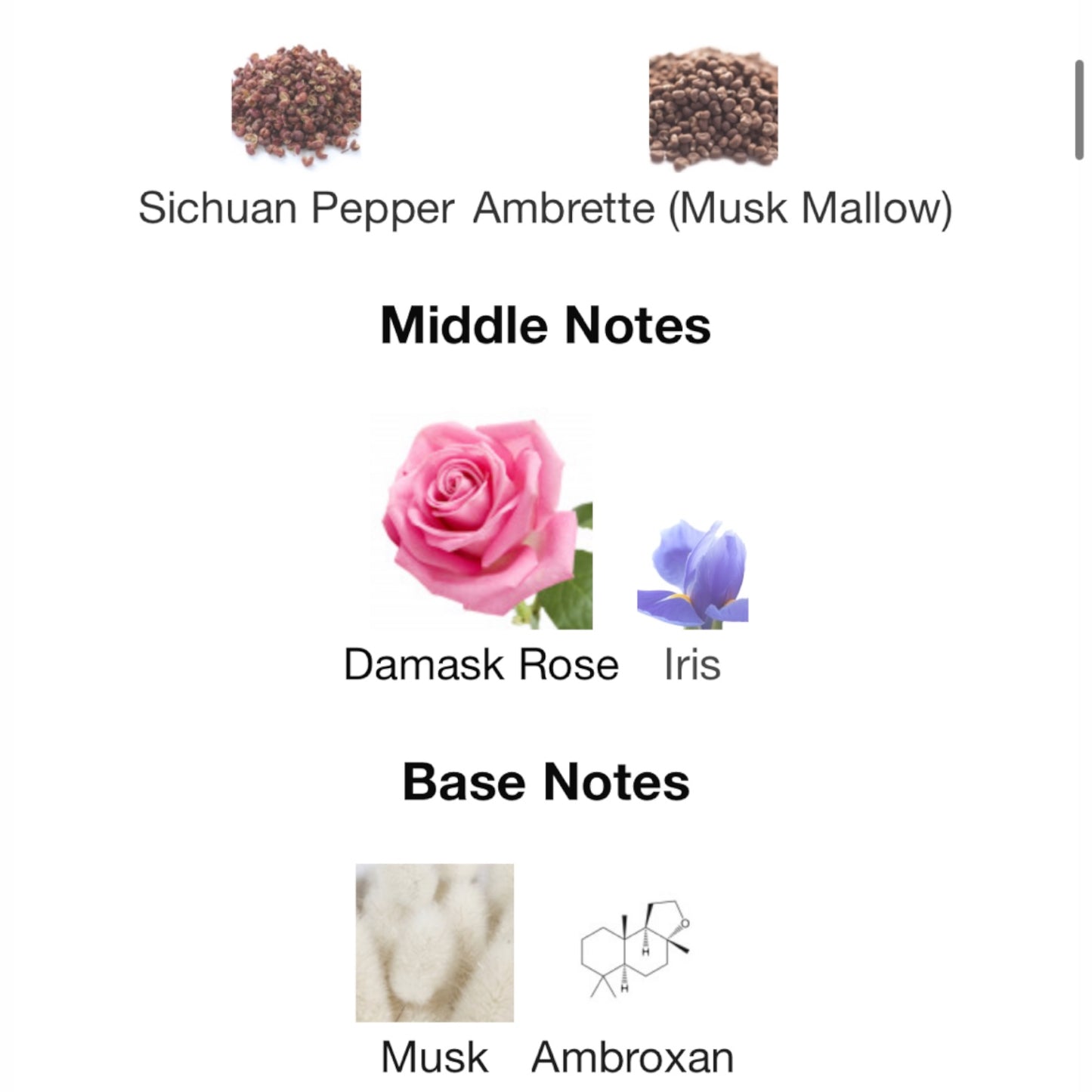 Young Rose By Byredo Eau de Parfum