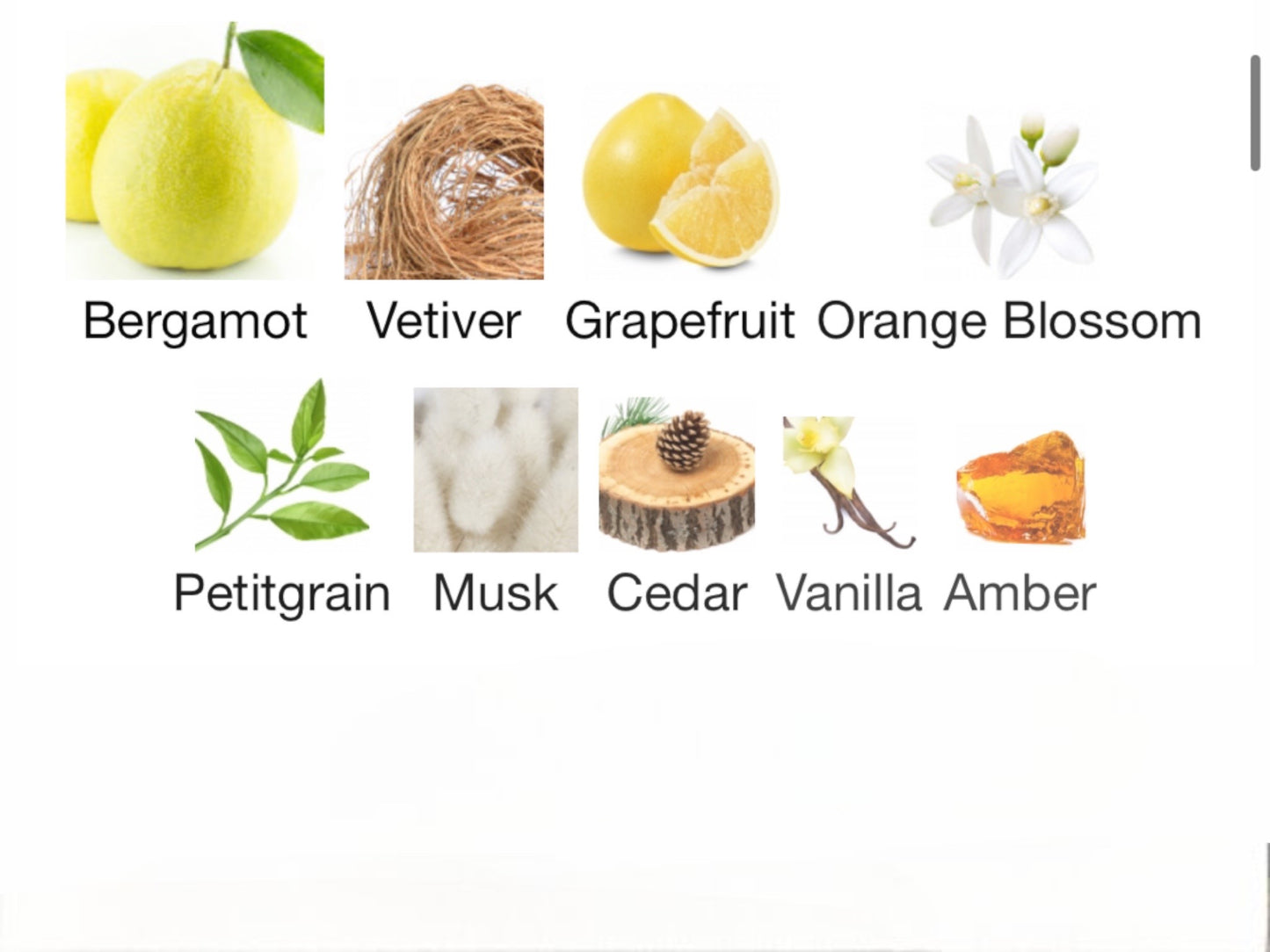 Bergamote 22 by Le Labo Eau de Parfum