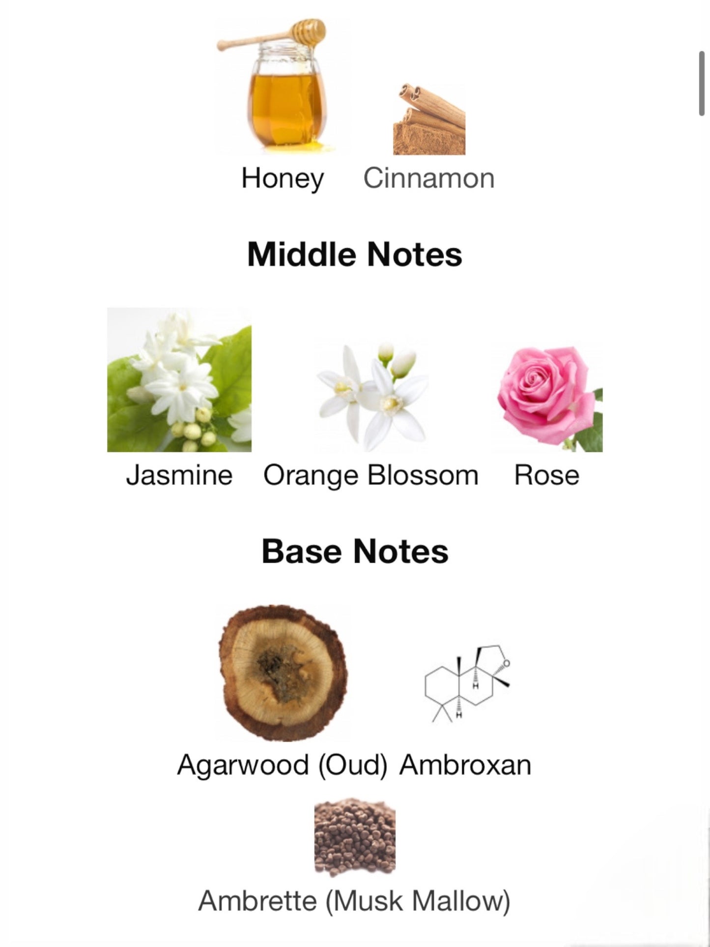 Fleur du Désert by Louis Vuitton Eau de Parfum
