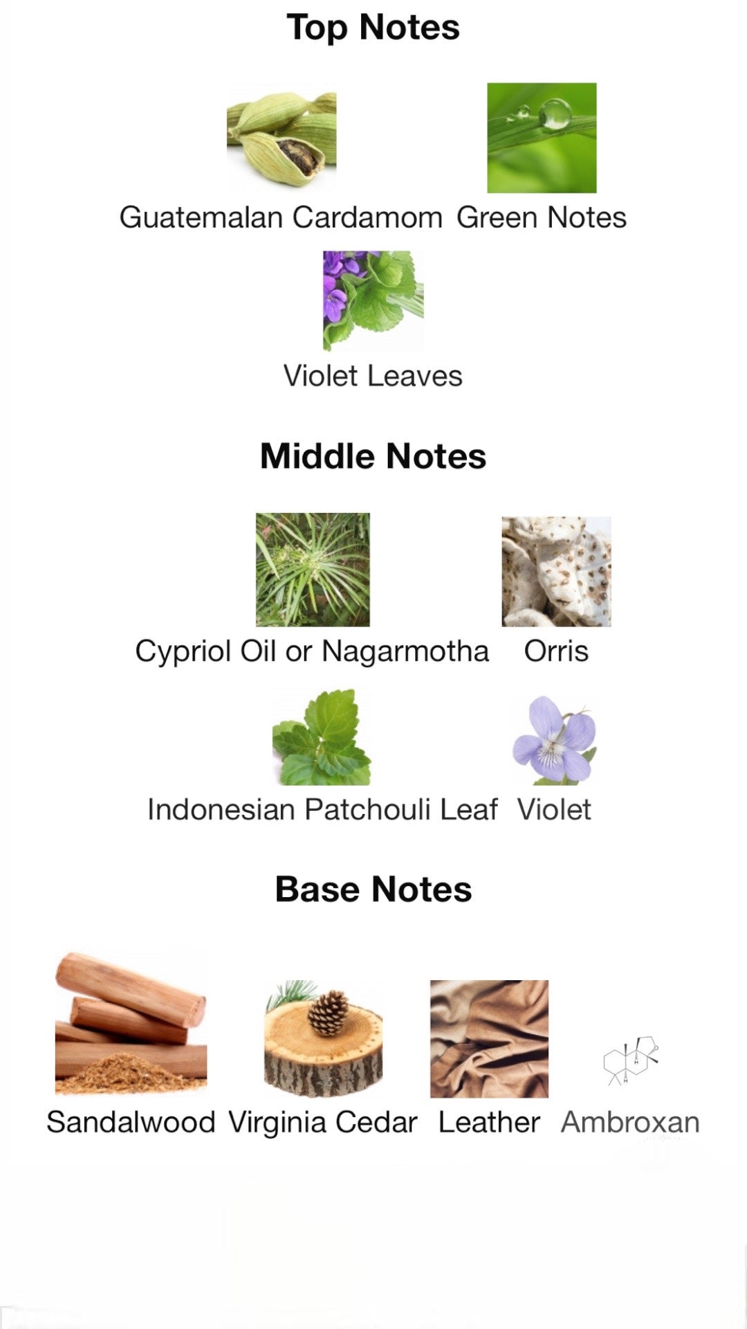 Beso Negro by Beso Beach Perfumes Eau de Parfum