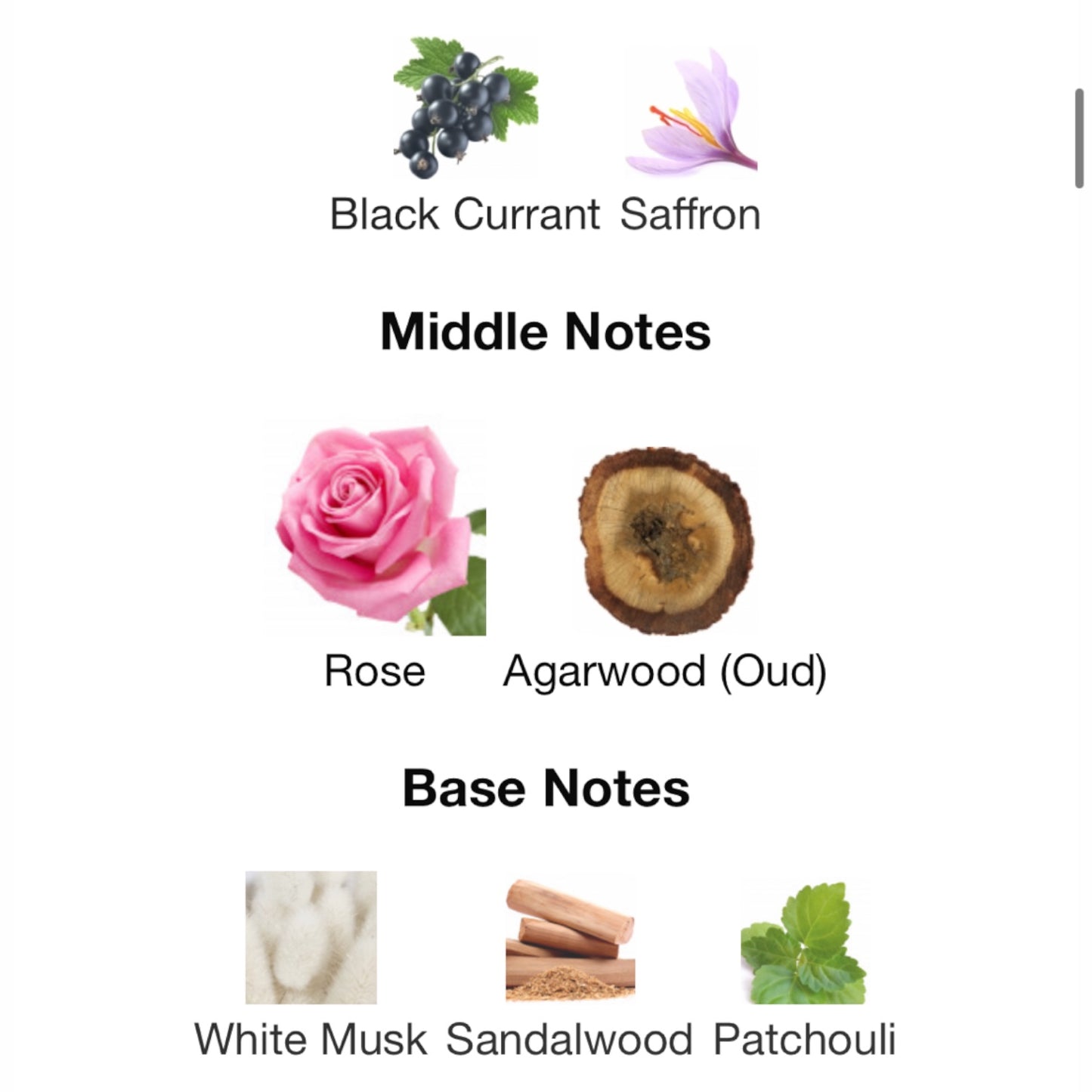 Royal Rose Aoud by M. Micallef eau de parfum