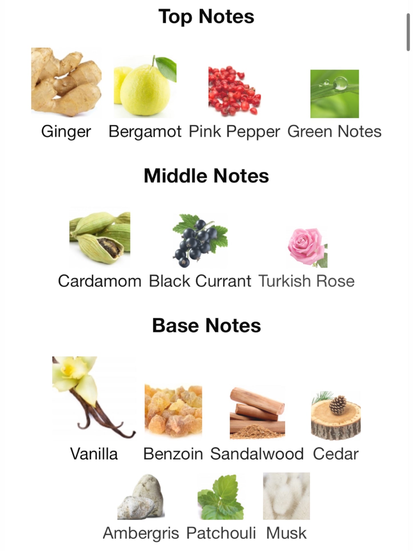 Ani by Nishane Extrait de Parfum