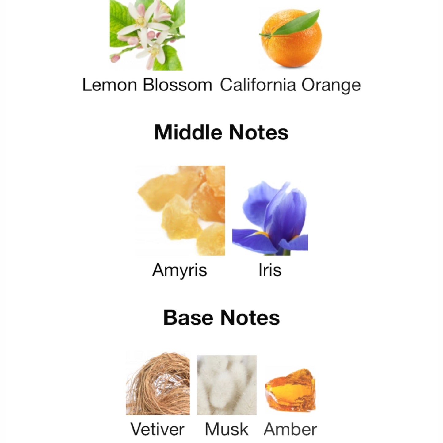 Amyris Femme by Maison Francis Kurkdjian Eau de Parfum