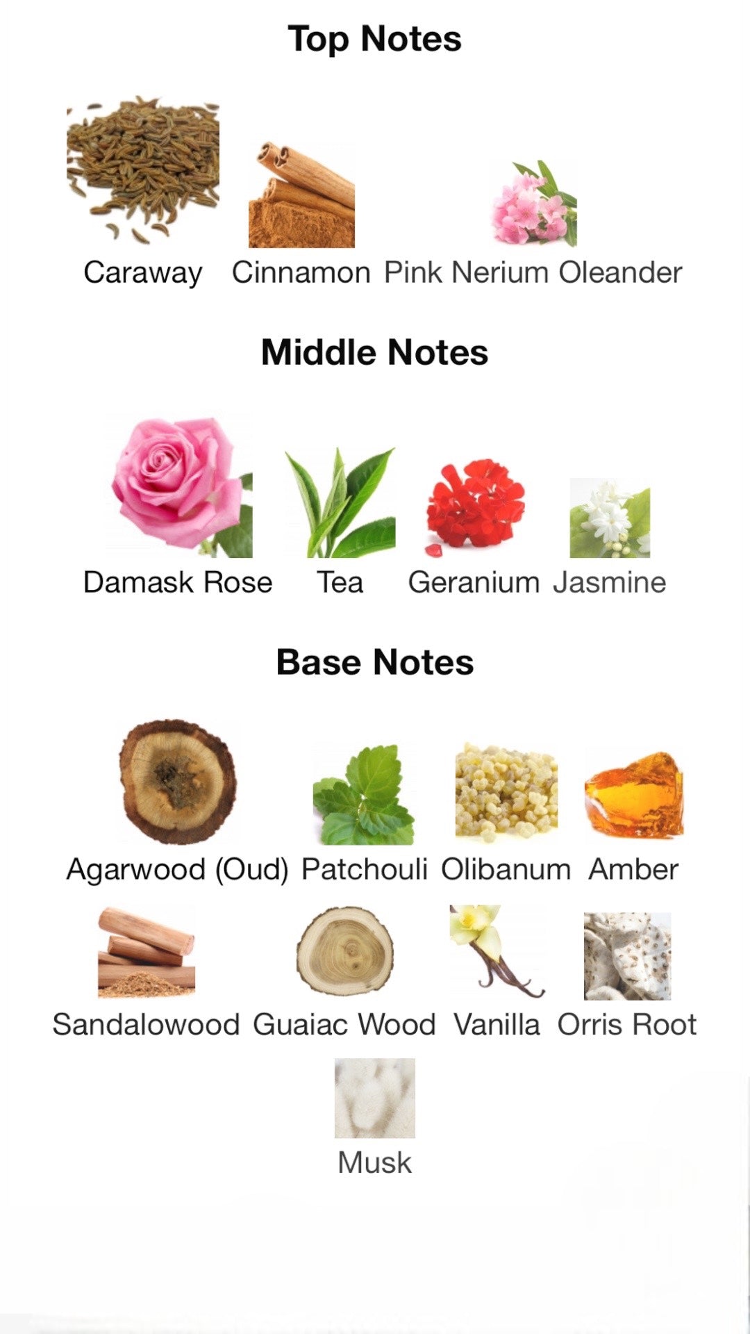 Amouage Epic Woman by Amouage Eau de Parfum