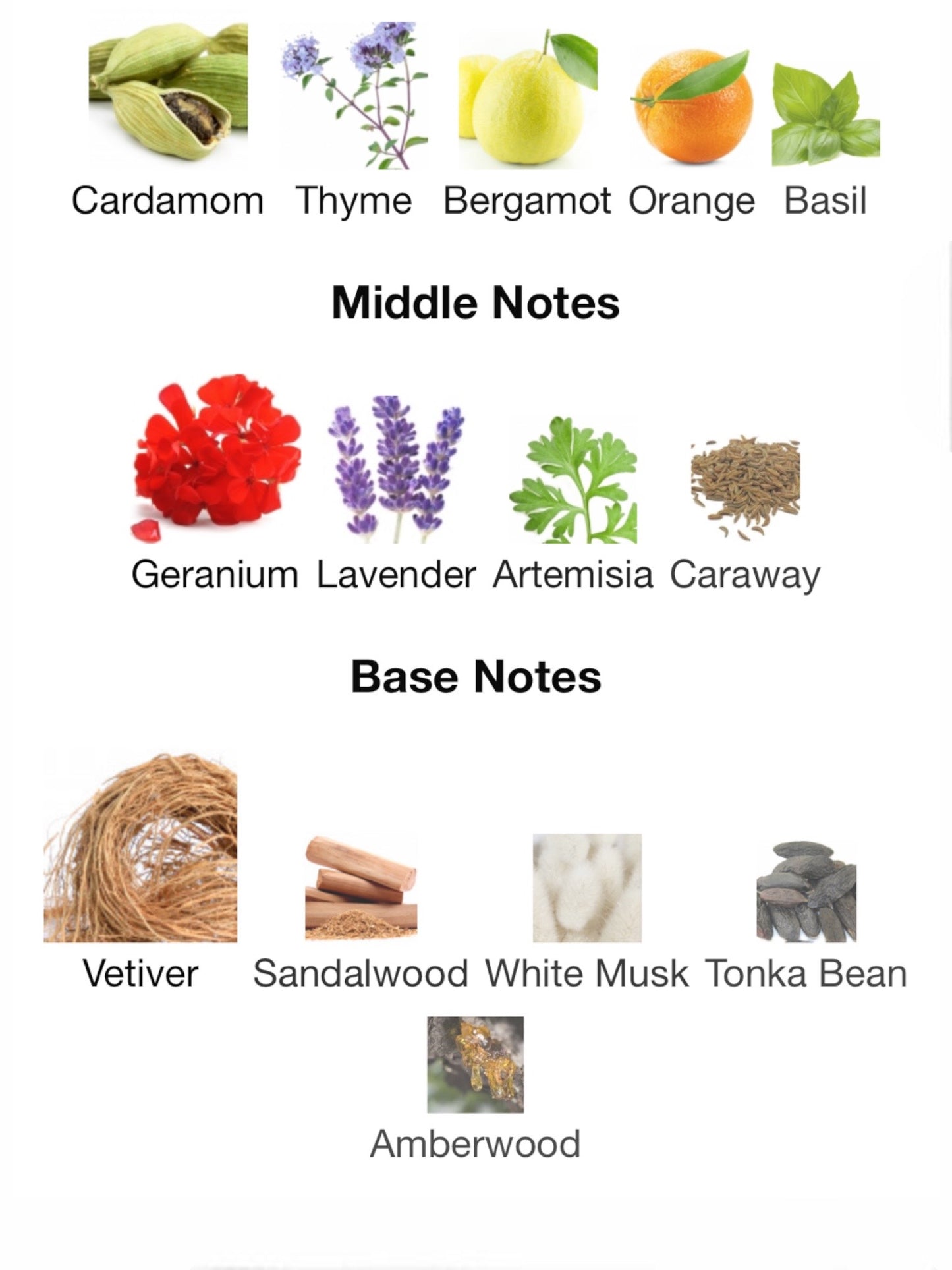 Yesterday by Room 1015 Eau de Parfum