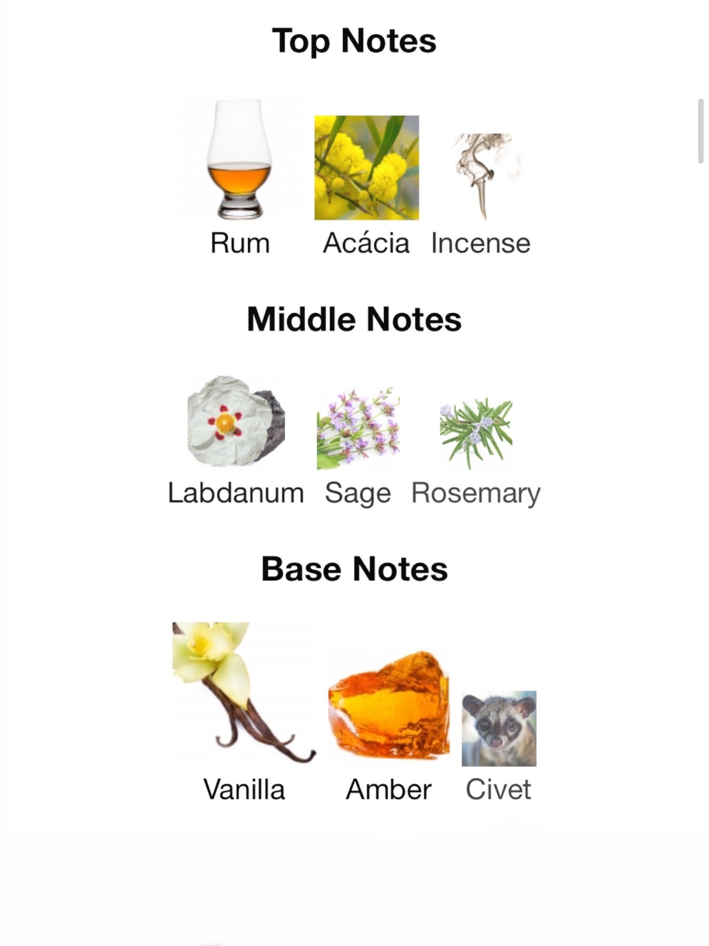 Andalusian Soul by The Merchant of Venice Eau de Parfum