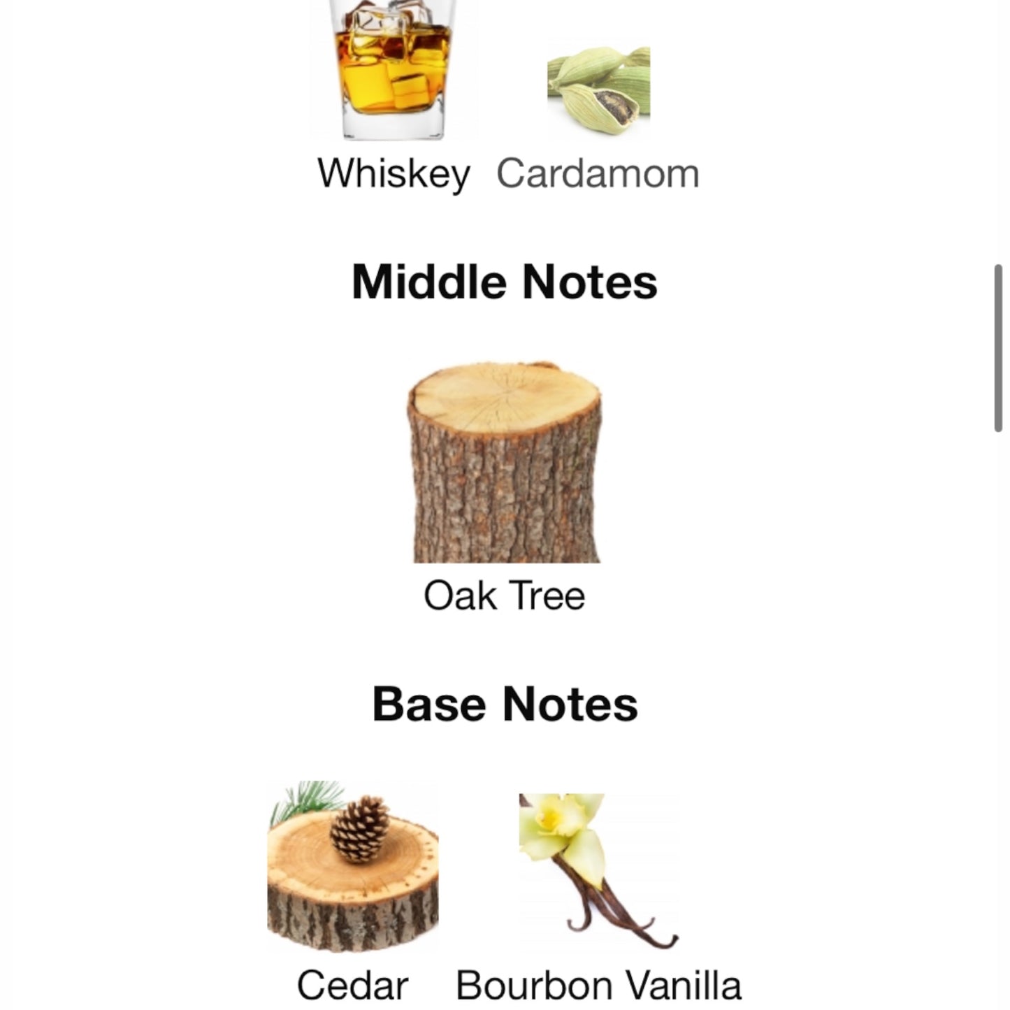 The Collection Noble Wood by Hugo Boss Eau de Parfum