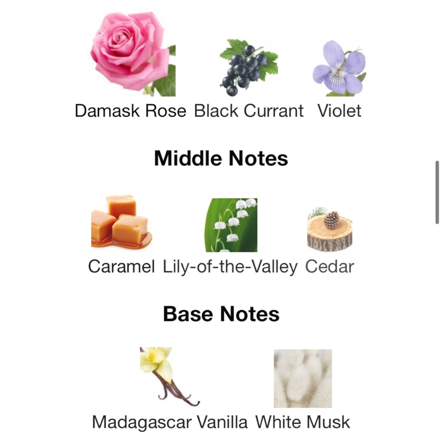 Attar Collection Rosa Galore Eau De Parfum