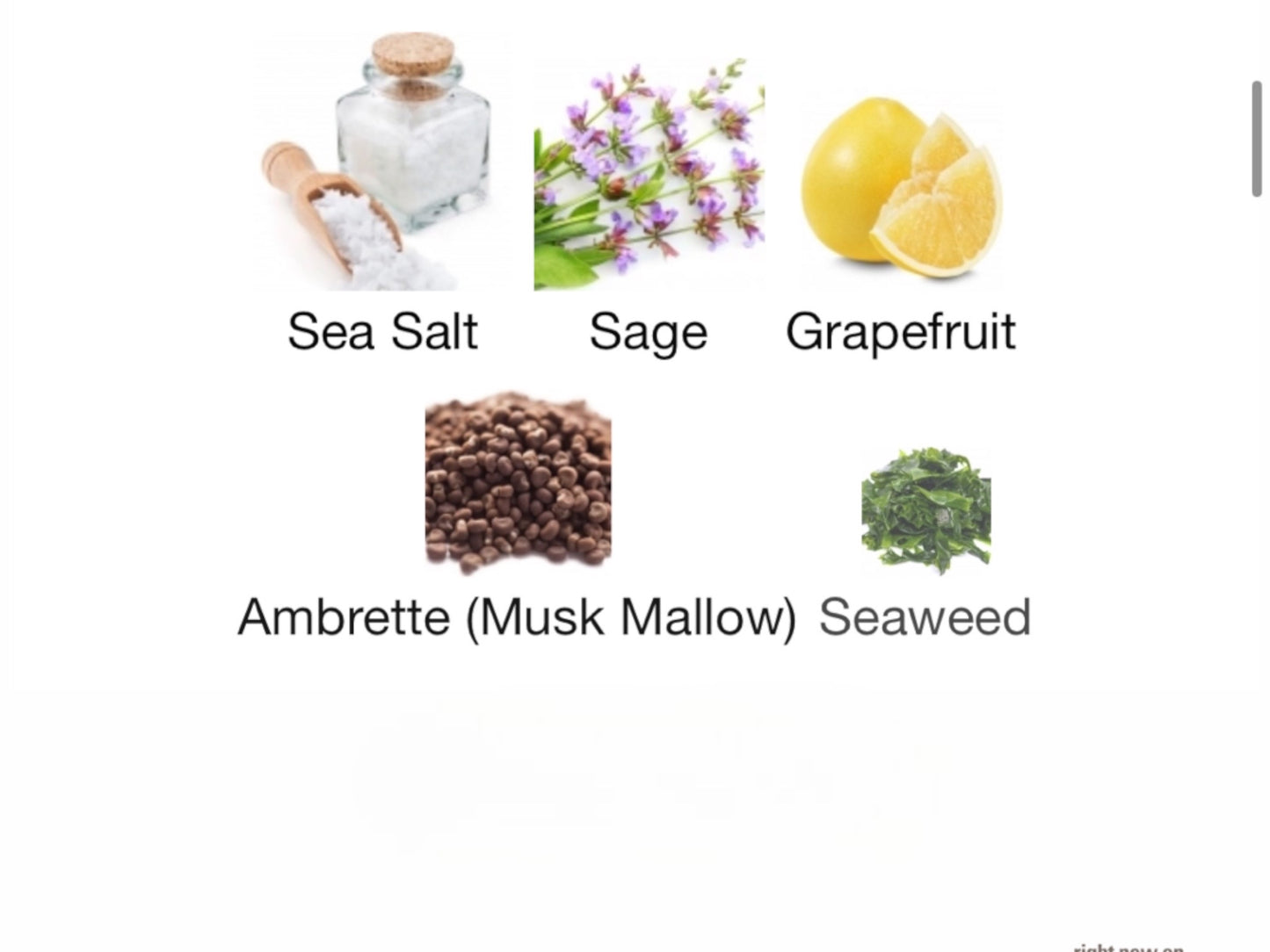 Wood Sage & Sea Salt Cologne by Jo Malone London
