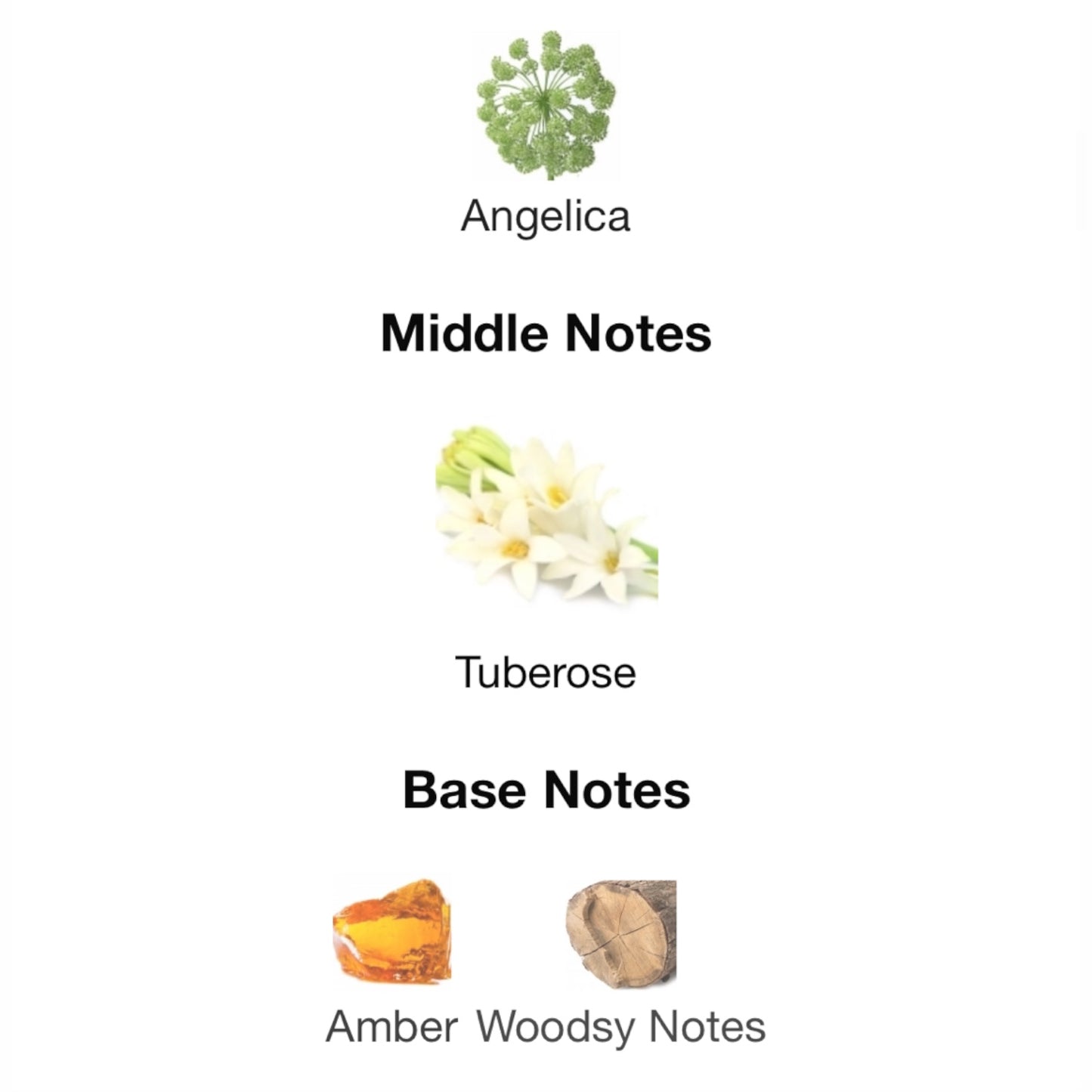 Tuberose Angelica Cologne Intense by Jo Malone London