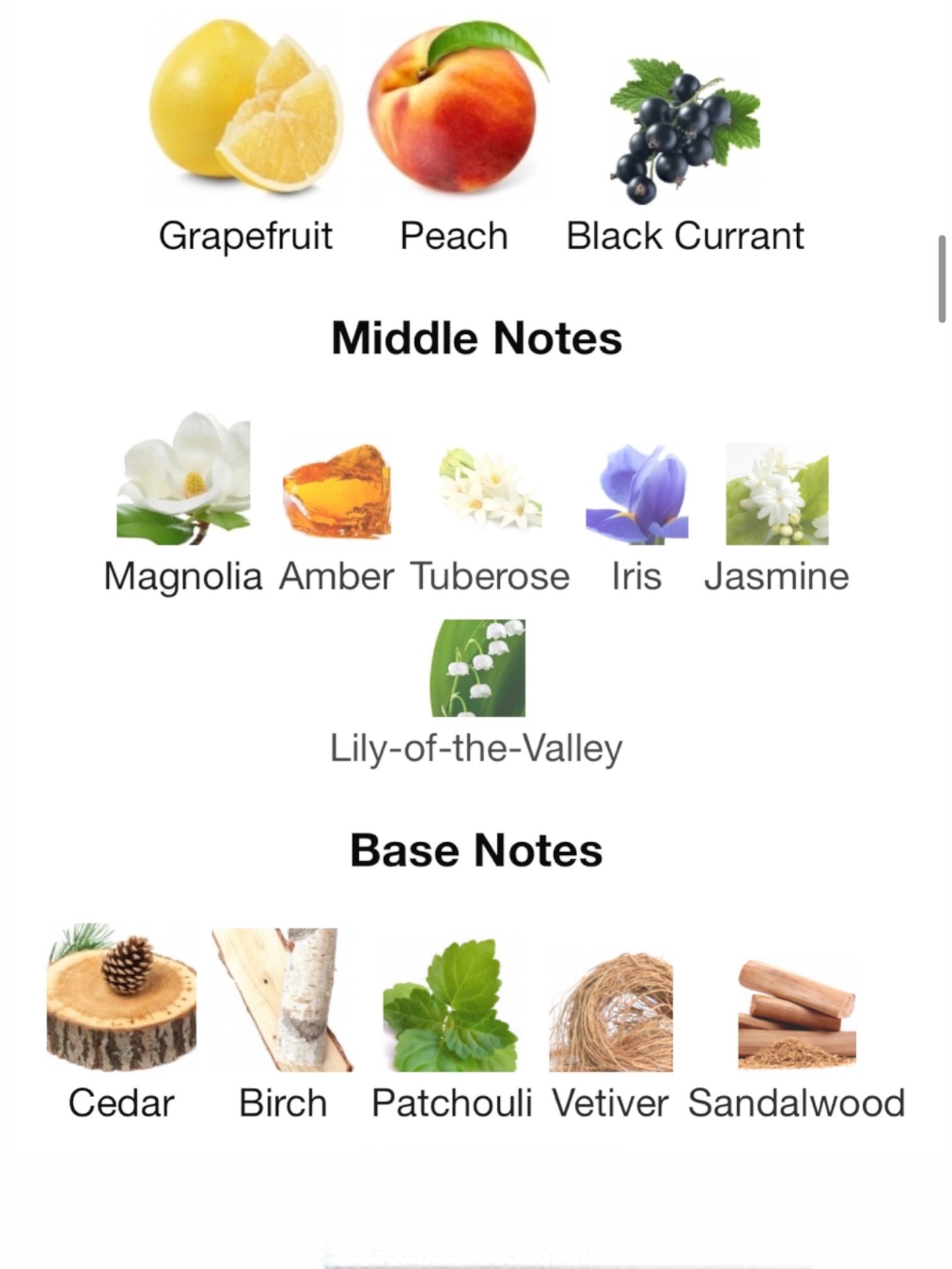 Tuttle by Tiziana Terenzi Extrait de Parfum