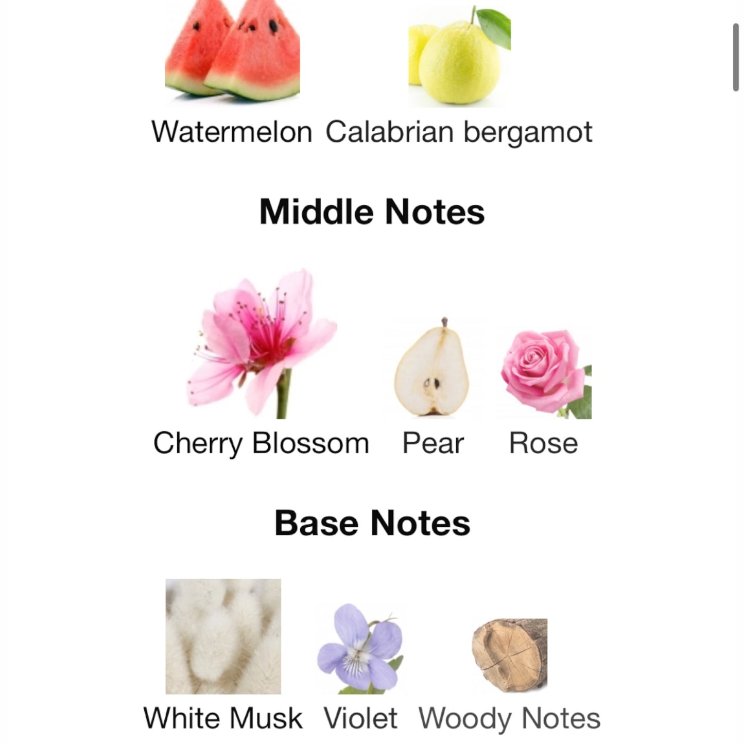 Aqua Allegoria Flora Cherrysia By Guerlain EAU DE TOILETTE