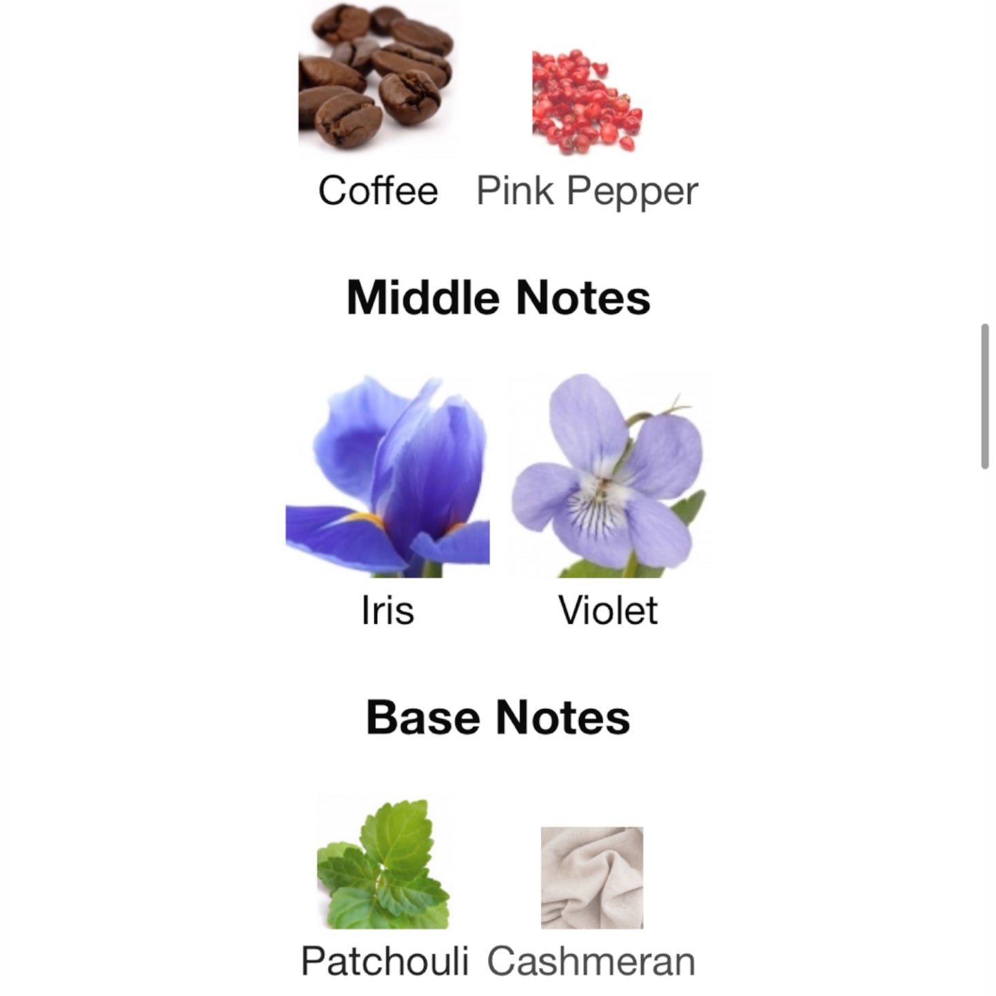 I-Ristretto by Maison Tahité – Officine Creative Profumi