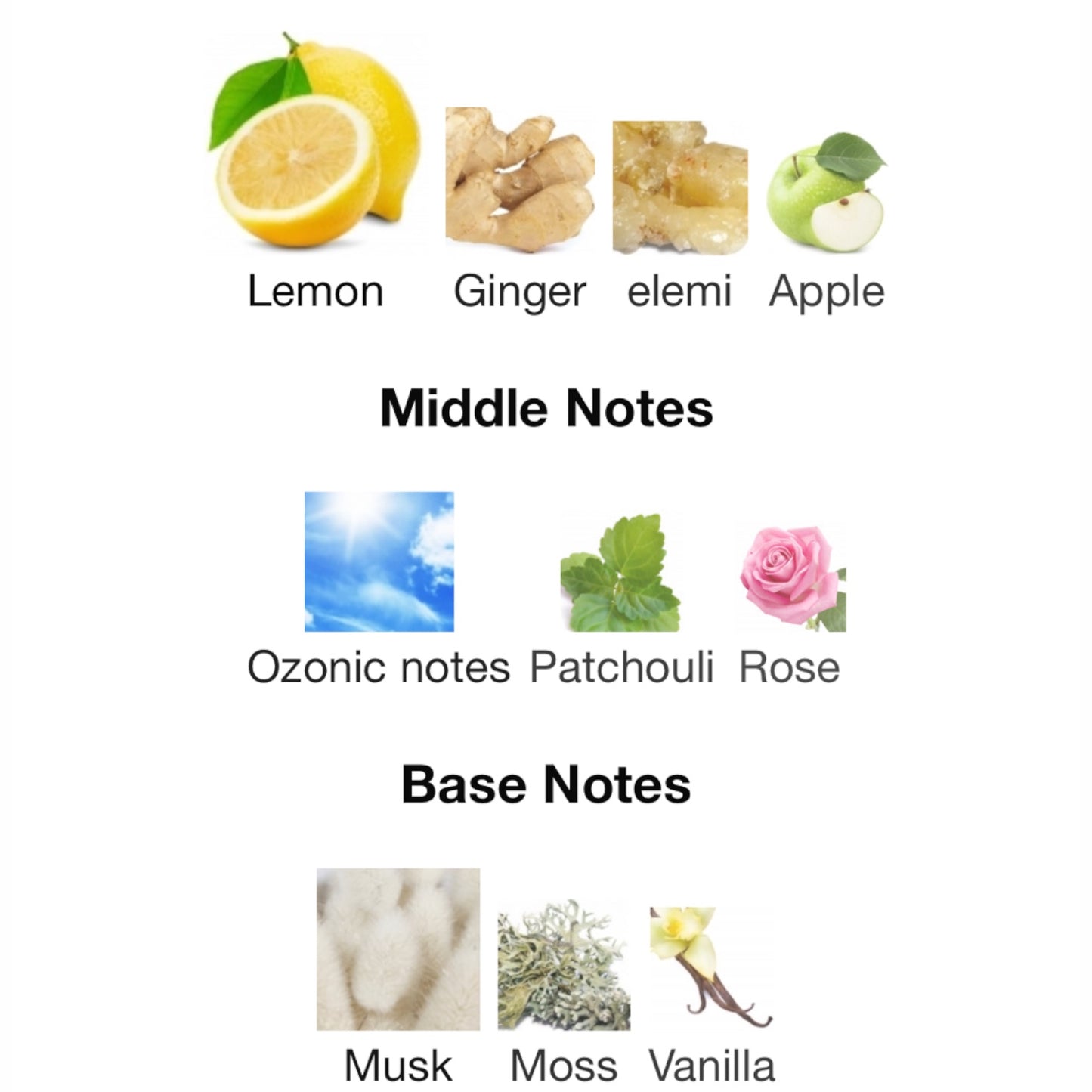 Limoncello Season by El Ganso Eau de toilette
