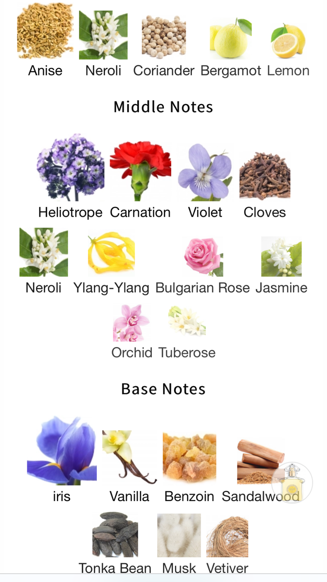 L'Heure Bleue Eau de Parfum Guerlain