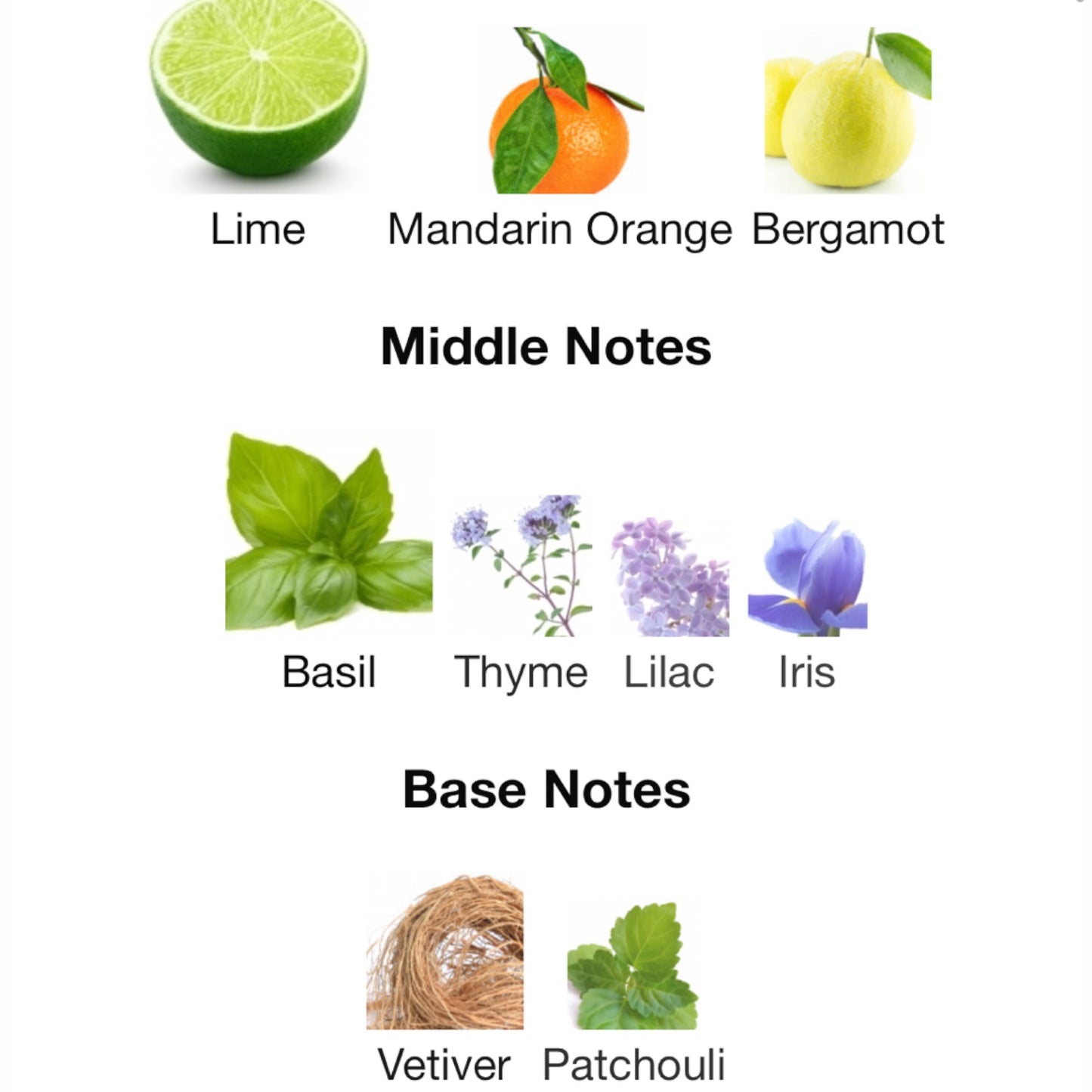 Lime Basil and Mandarin Cologne by Jo Malone London Cologne
