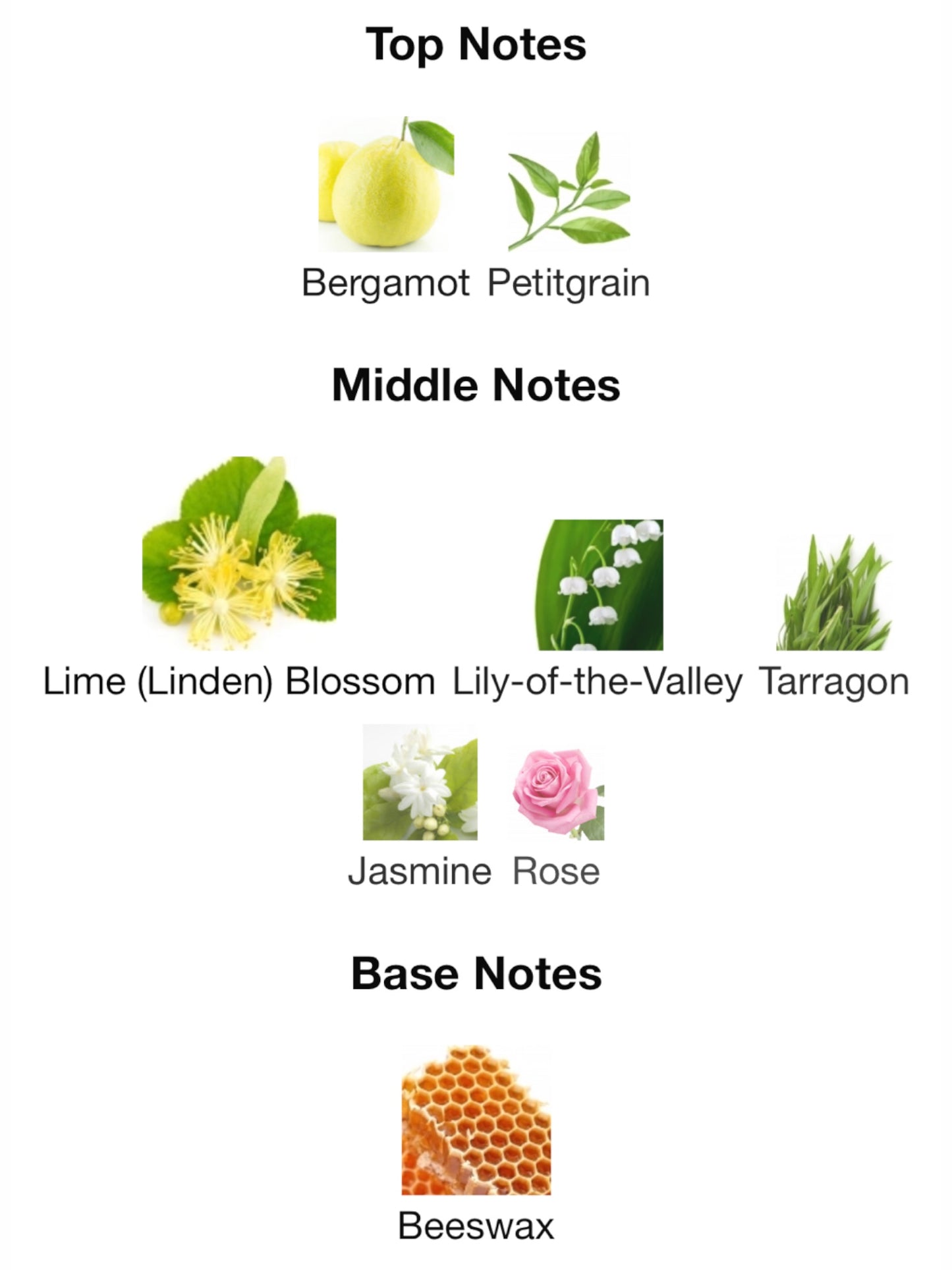 French Lime Blossom by Jo Malone London Cologne (discontinued)