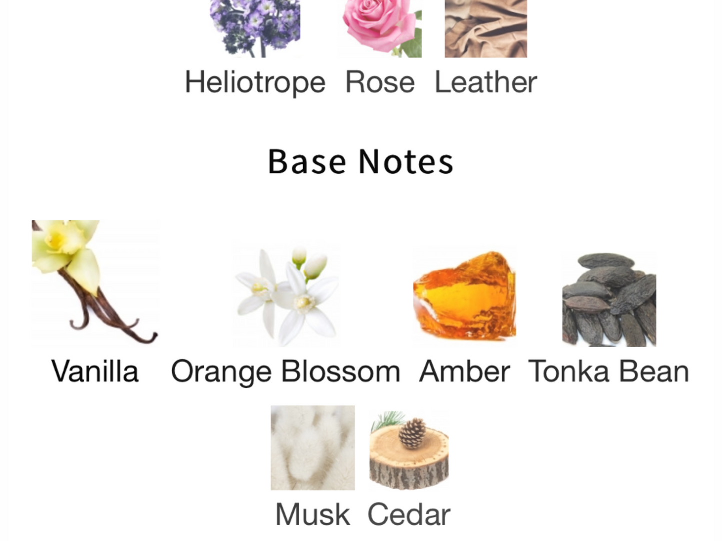 Poeme by Lancôme EAU de Parfum