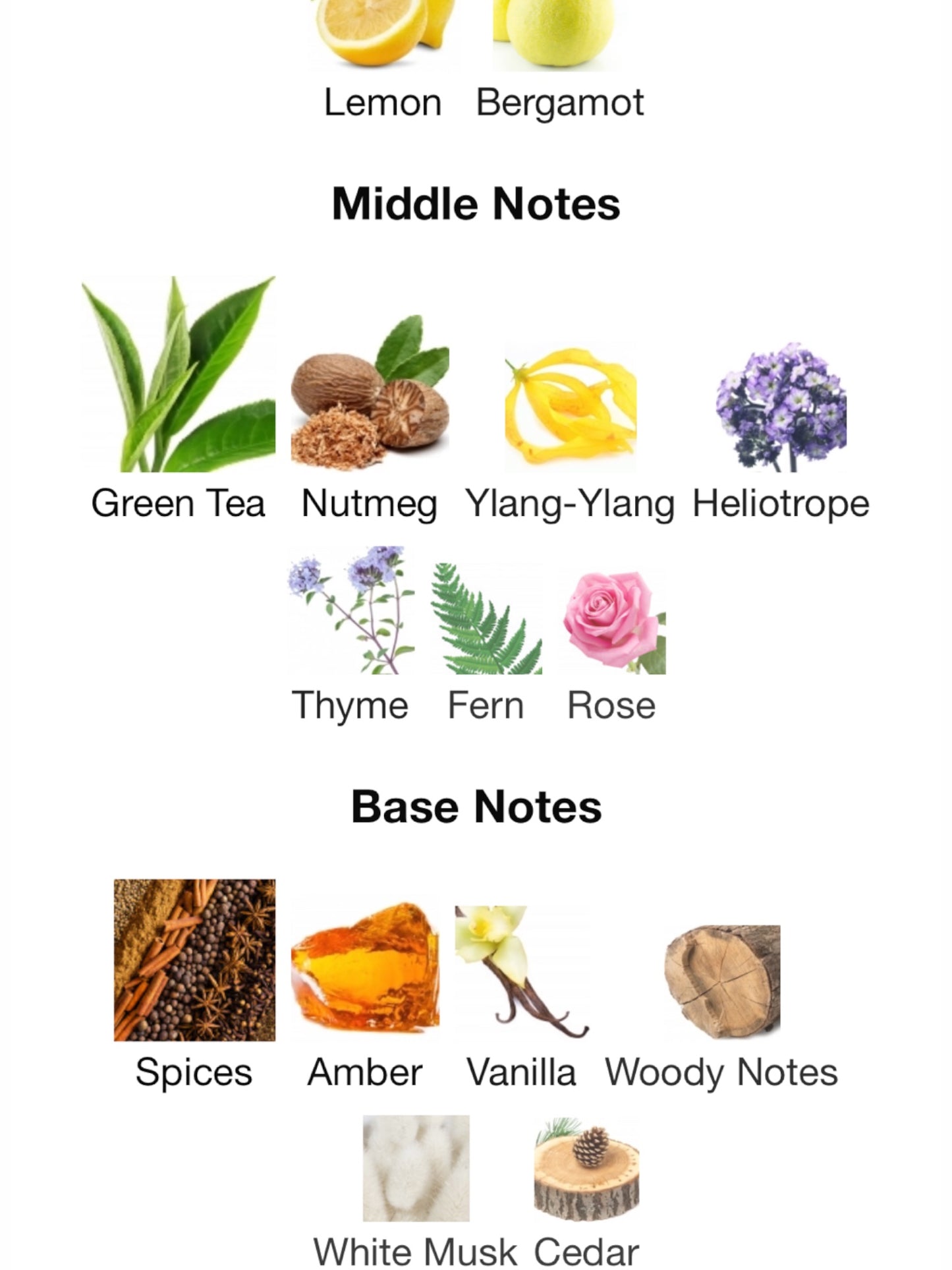 Ananda Tchai by M. Micallef Eau de Parfum