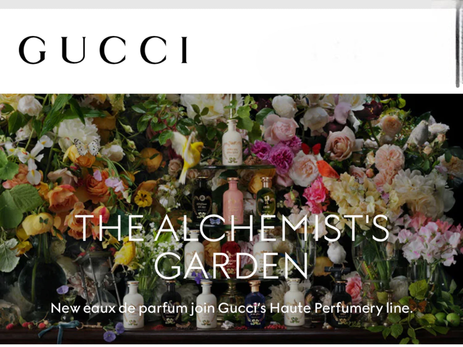 Alchemist's Garden Collection