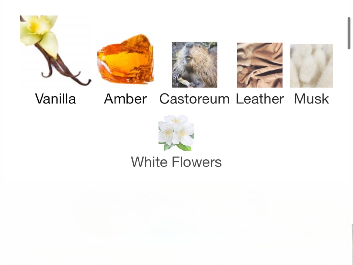 Absolute Aphrodisiac Eau de Parfum by Initio Parfums Prives