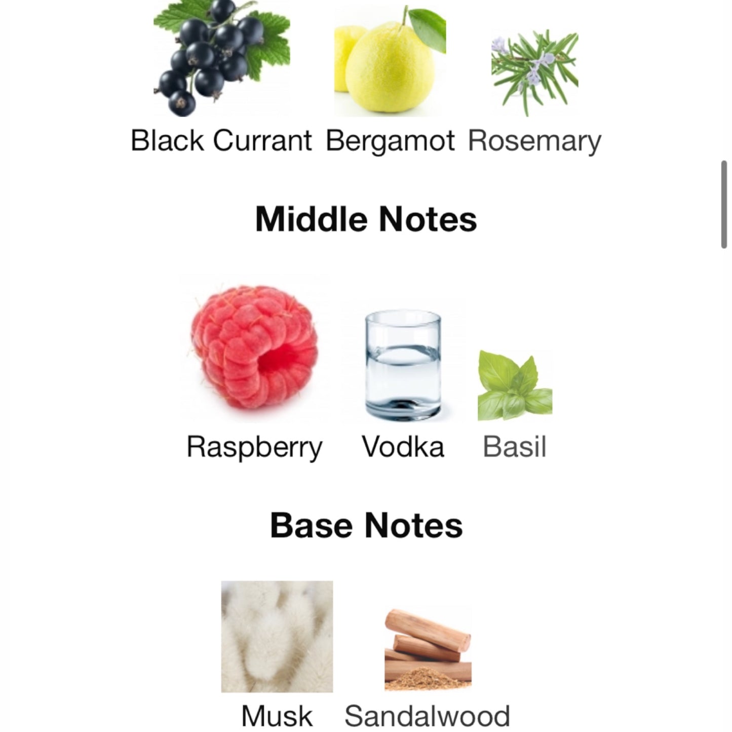 Pink Boa Stéphane Humbert Lucas 777 Eau de Parfum