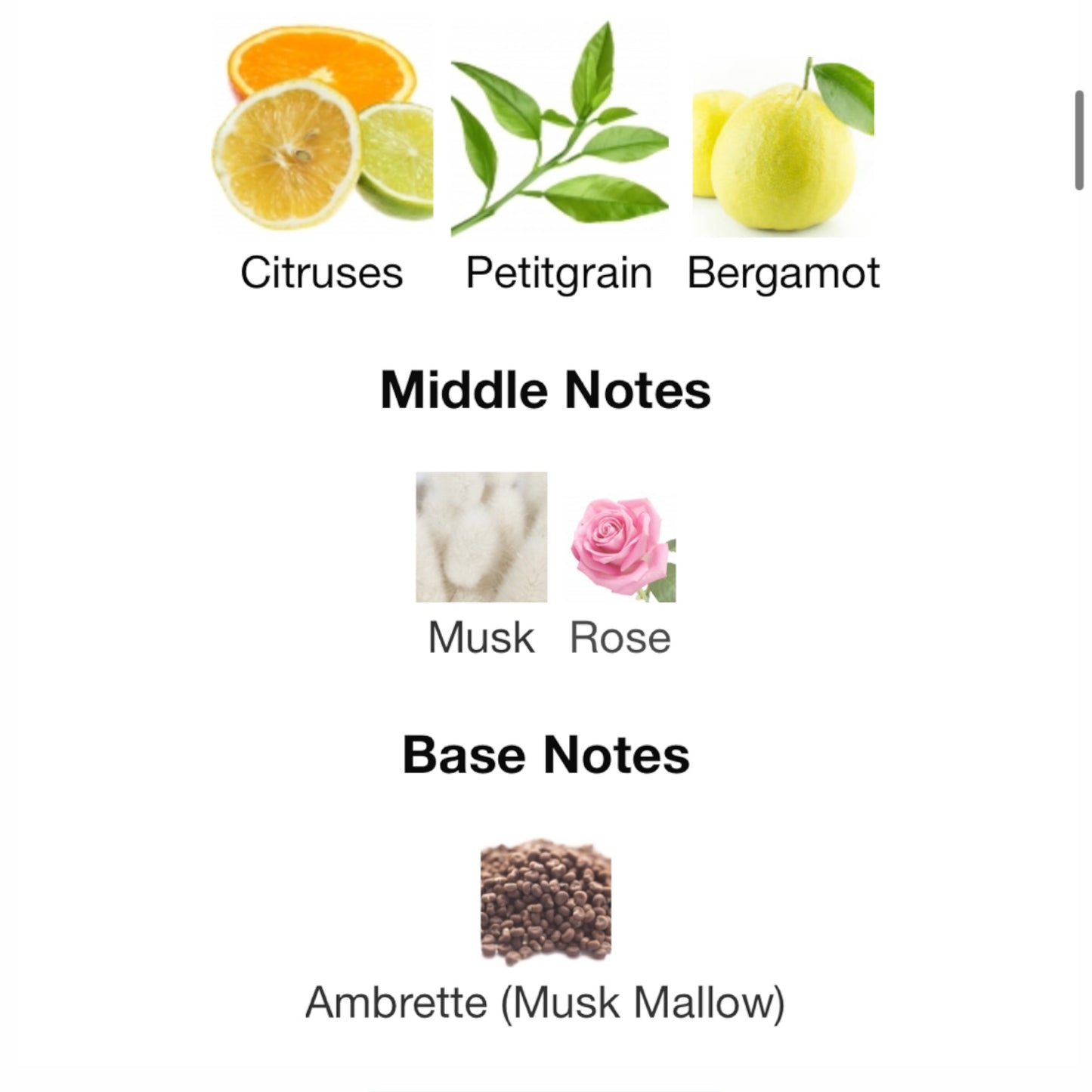 Palermo by Byredo Eau de Parfum