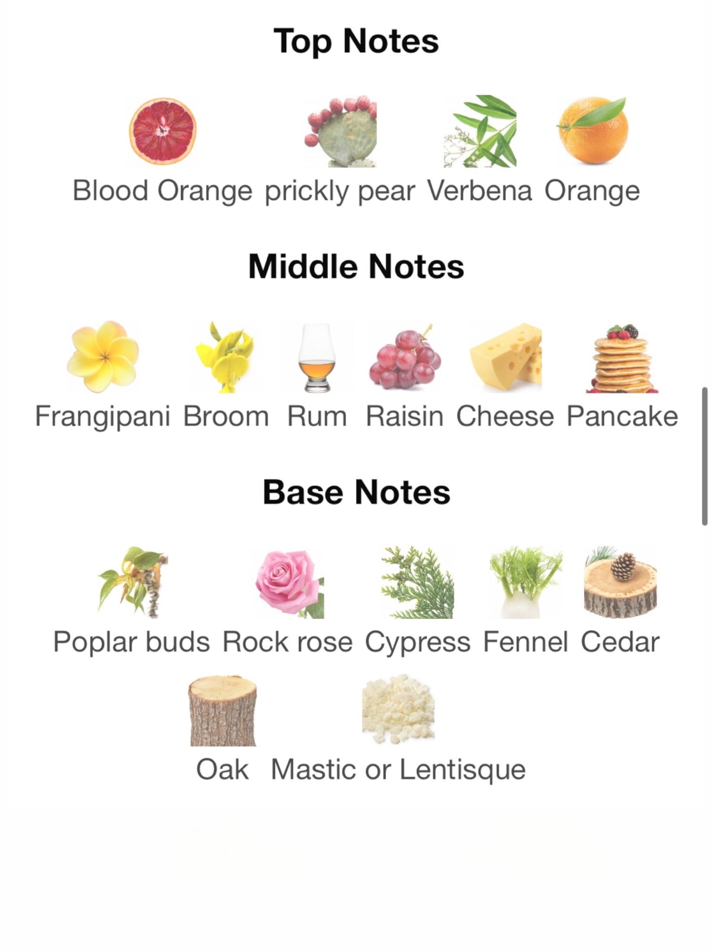 Annacamento by Toskovat' Eau de Parfum