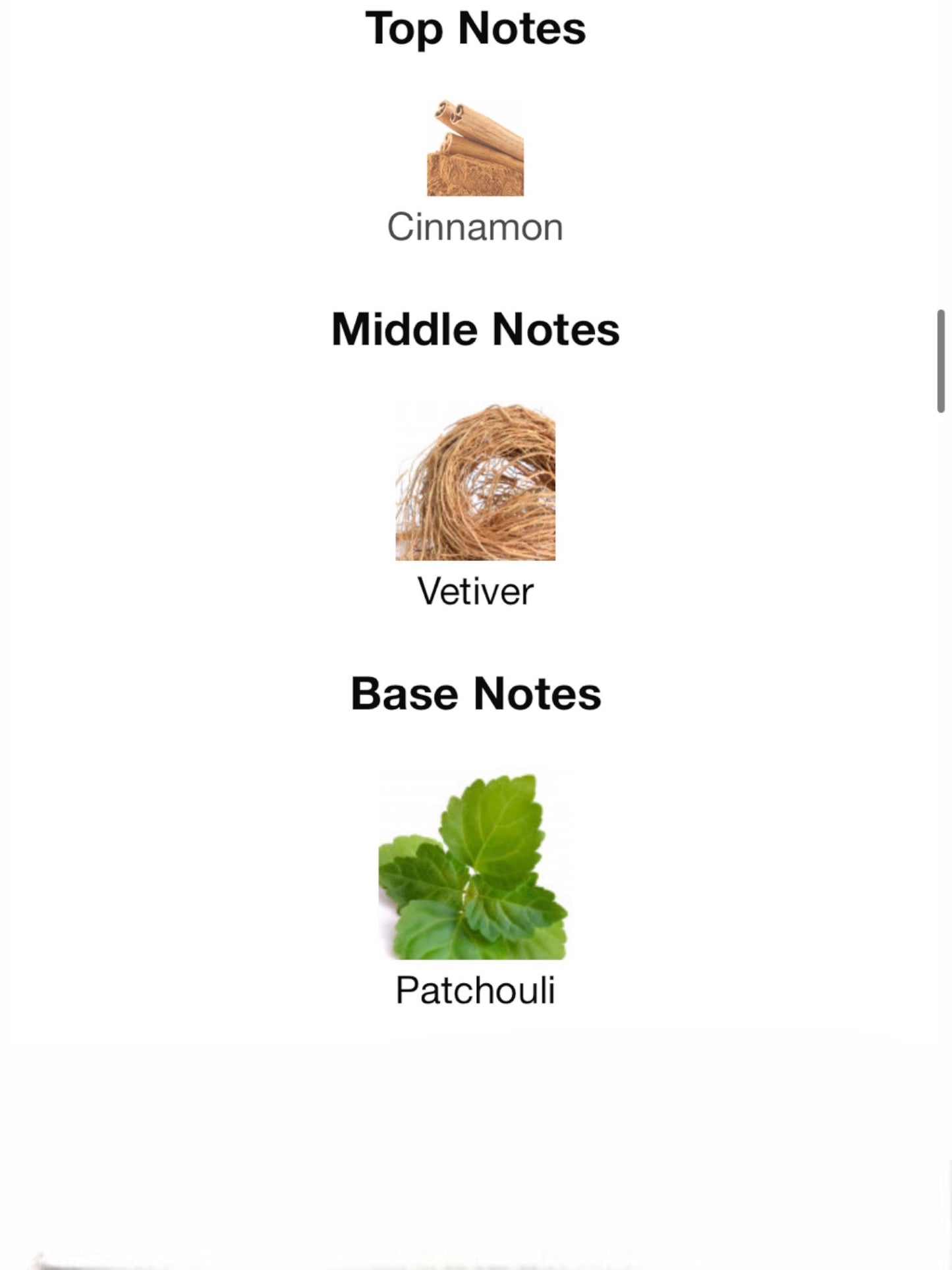 A Gloaming Night by Gucci Eau de Parfum