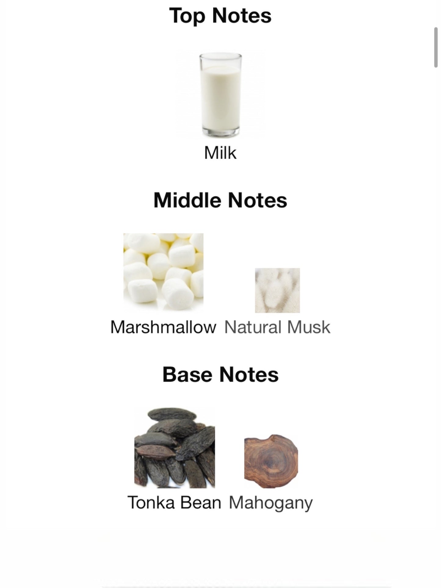 Milk by Commodity Eau de Parfum