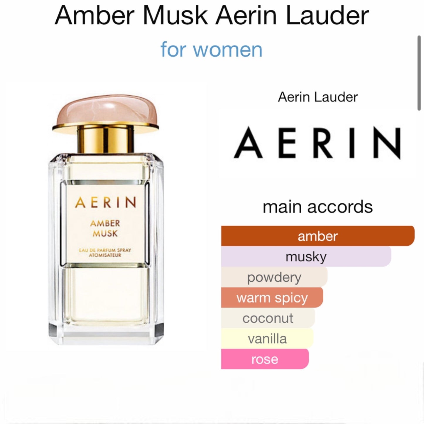 Amber Musk Aerin Lauder Eau de Parfum