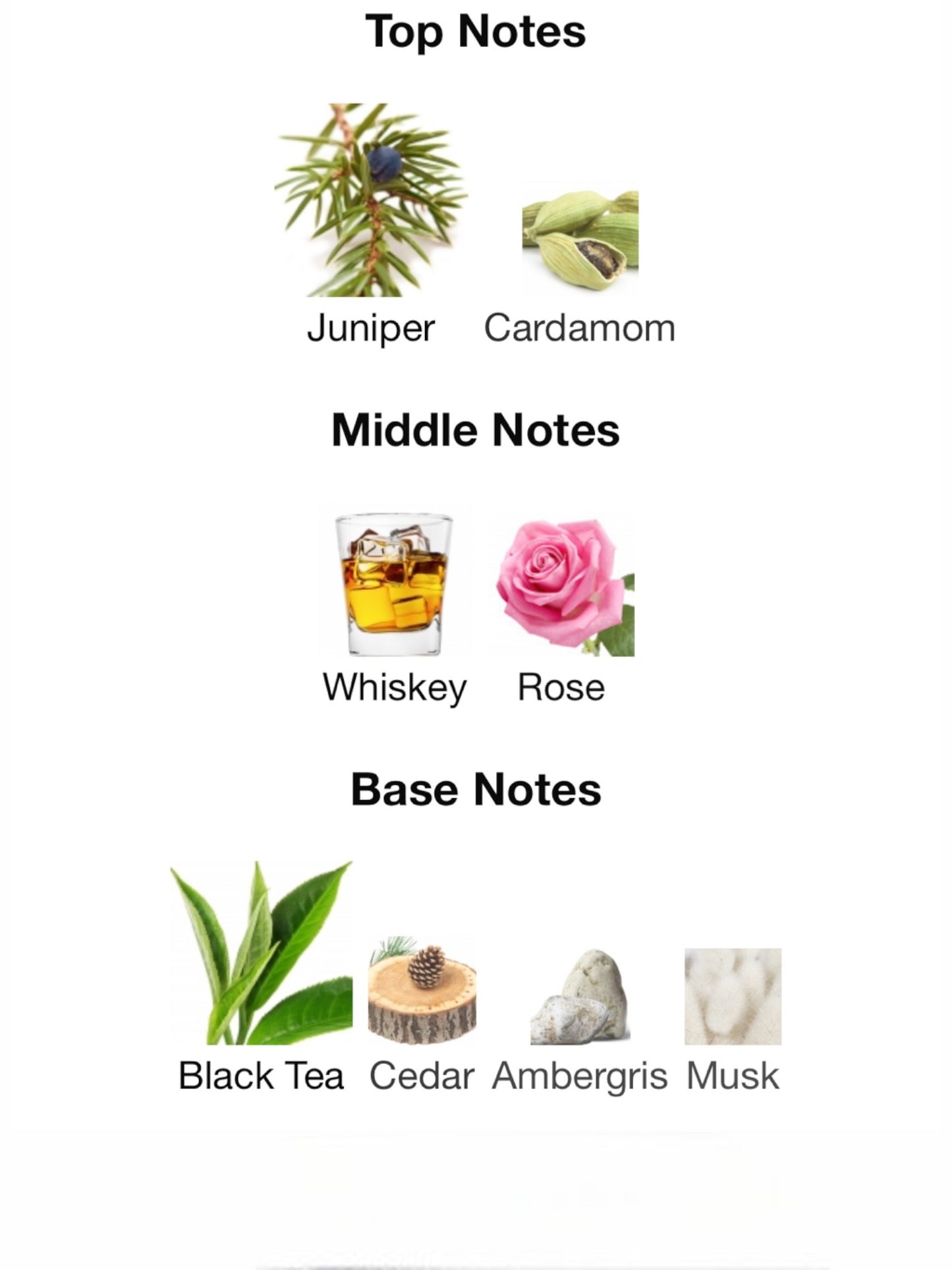 24 Old Bond Street by Atkinsons Eau de Parfum