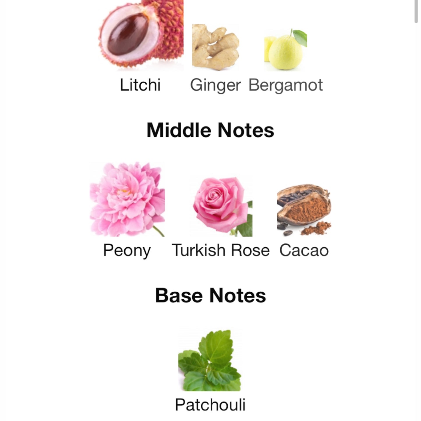 Attrape-Rêves by Louis Vuitton Eau de Parfum