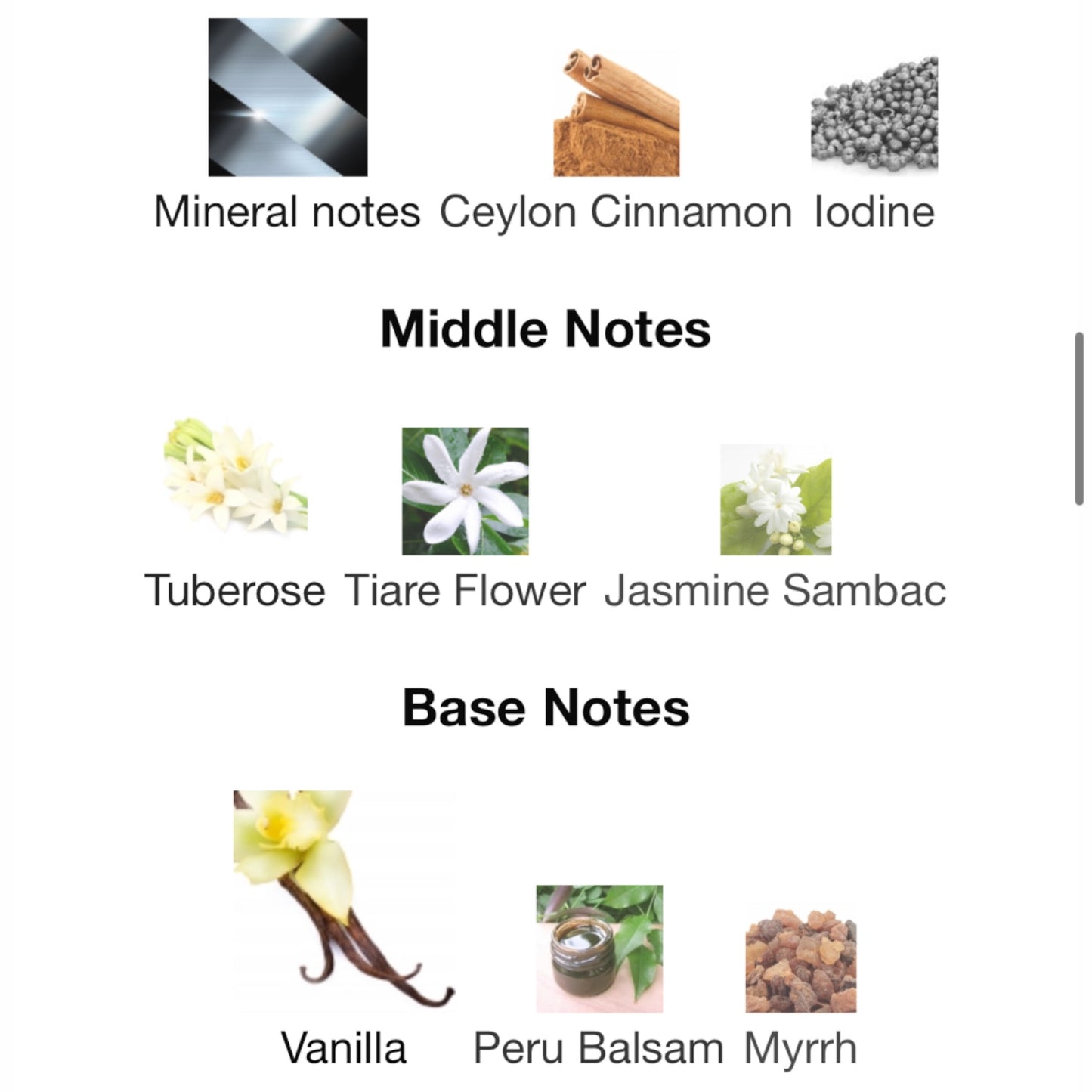 Abed by Anomalia Paris Eau de Parfum