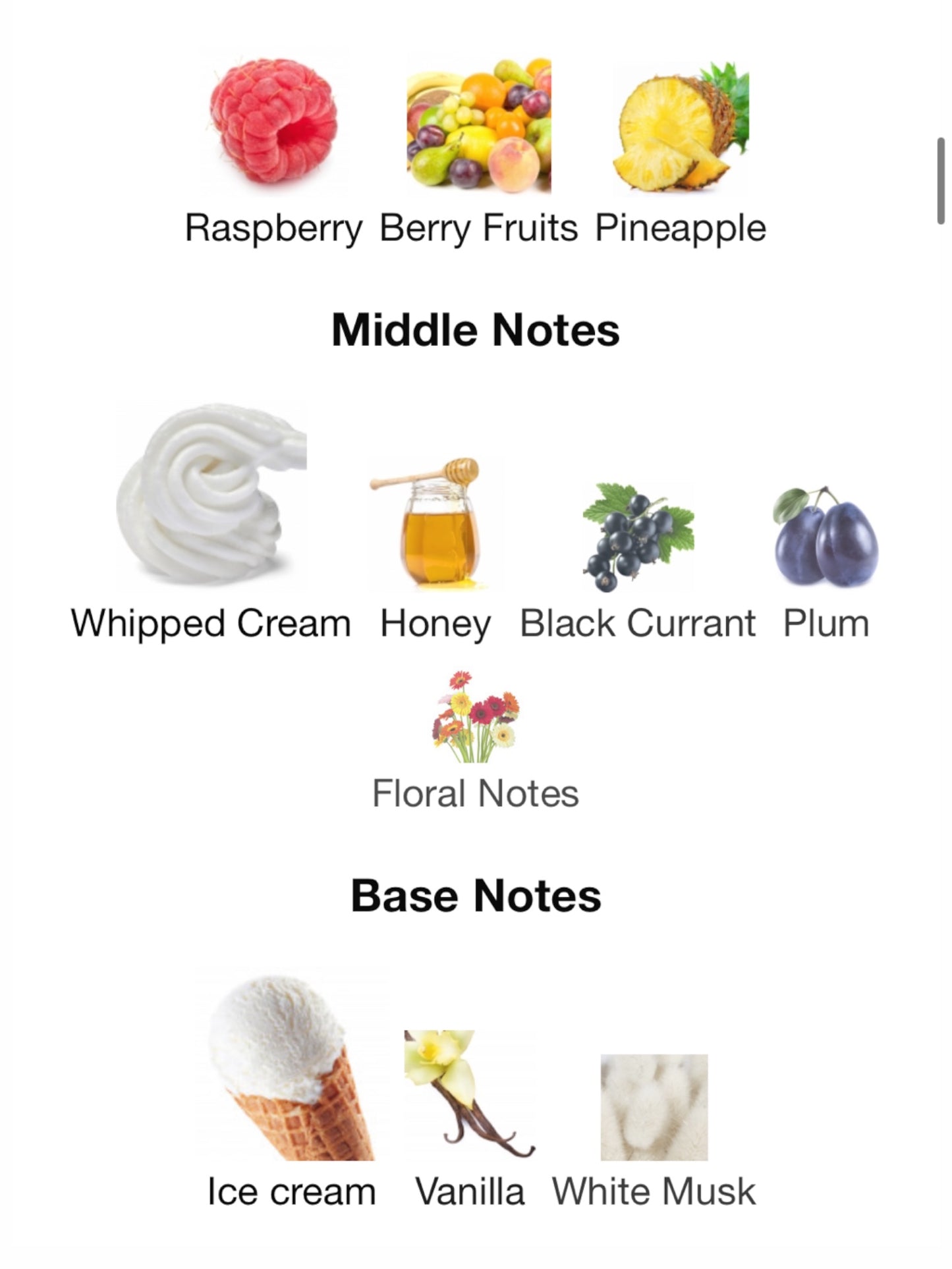 Hayati by Attar Collection Eau de parfum