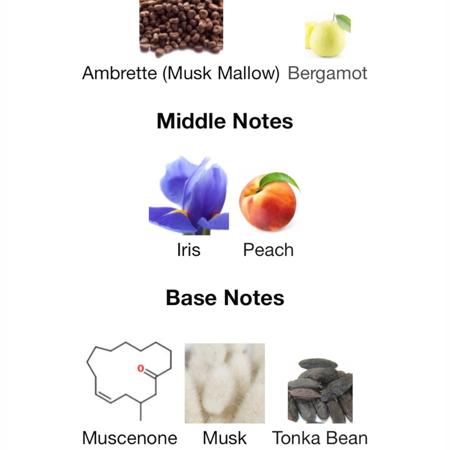 Musc Pallas by Jovoy Paris Eau de Parfum