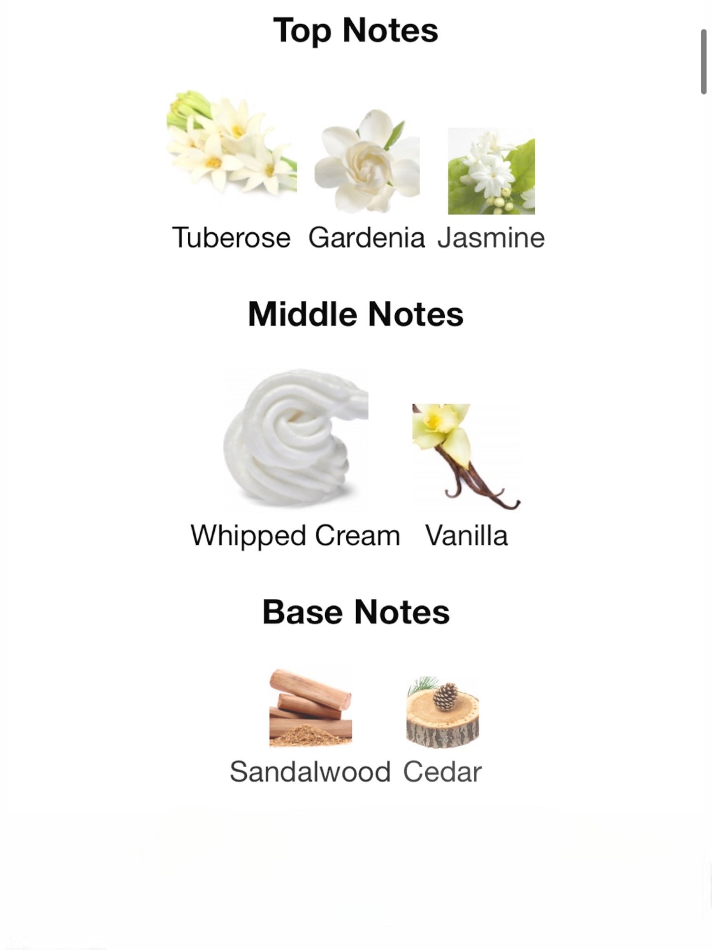 Amouage Love Tuberose Eau de Parfum