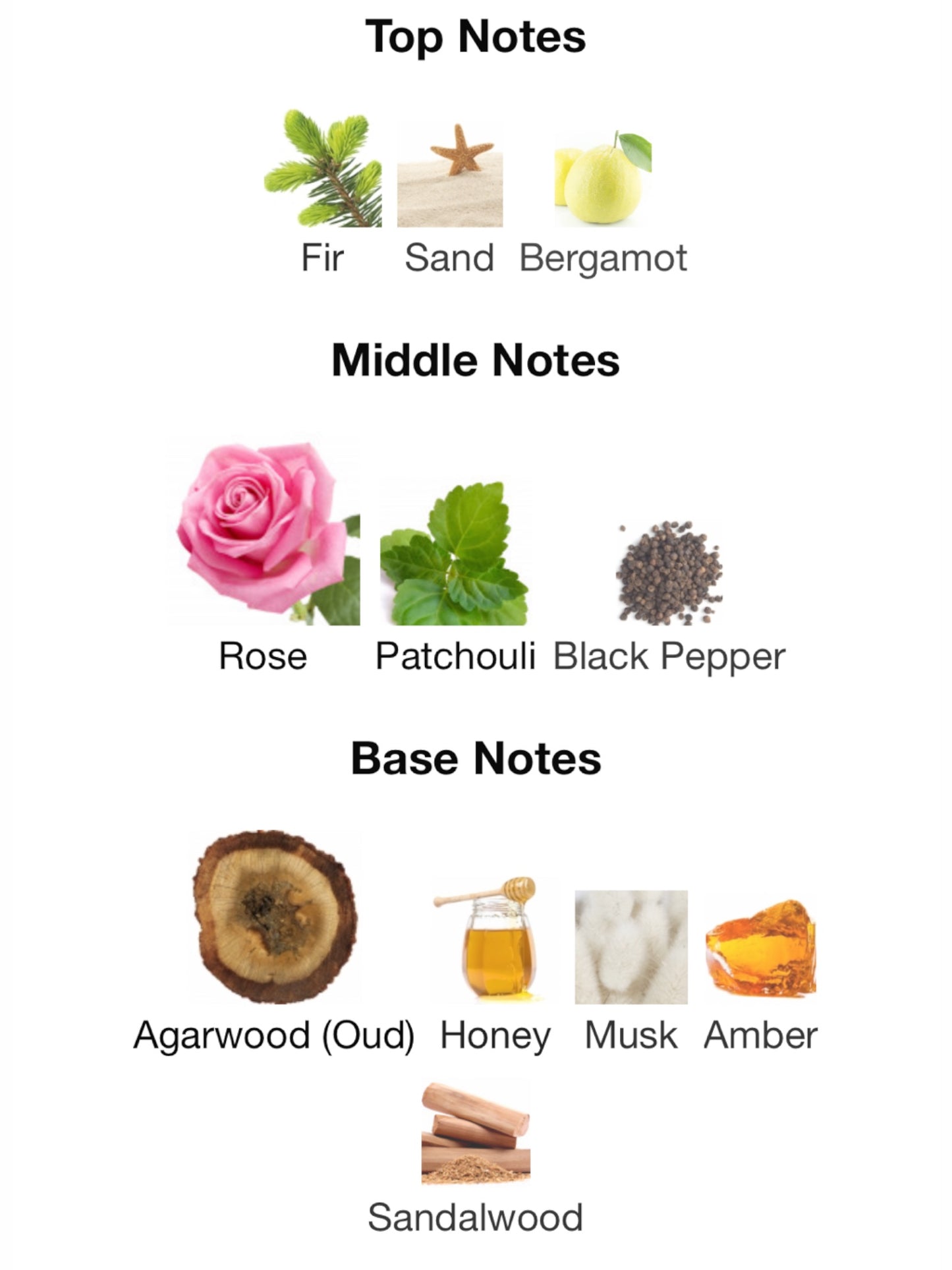 Gold Rose Oudh by Tiziana Terenzi Eau de Parfum