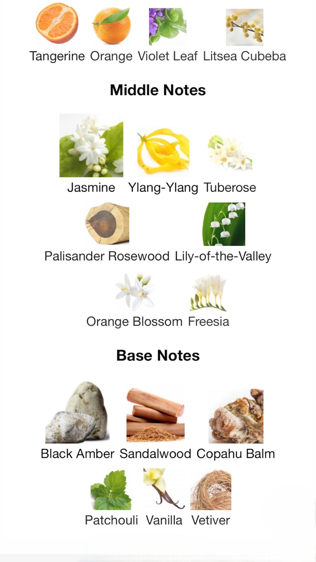 Ubar by Amouage Eau de Parfum