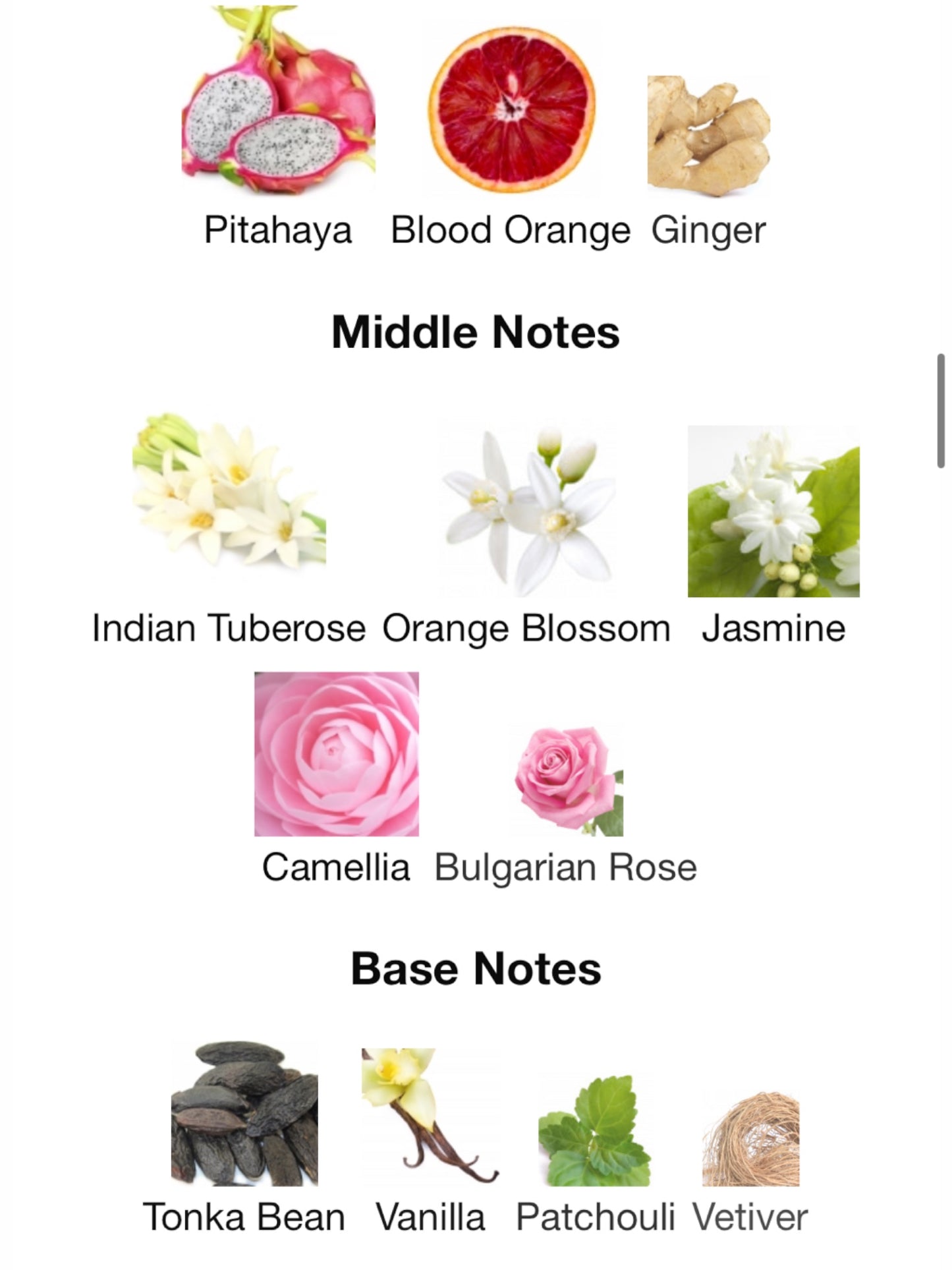 Camélia K Ella K Parfums Eau de Parfum