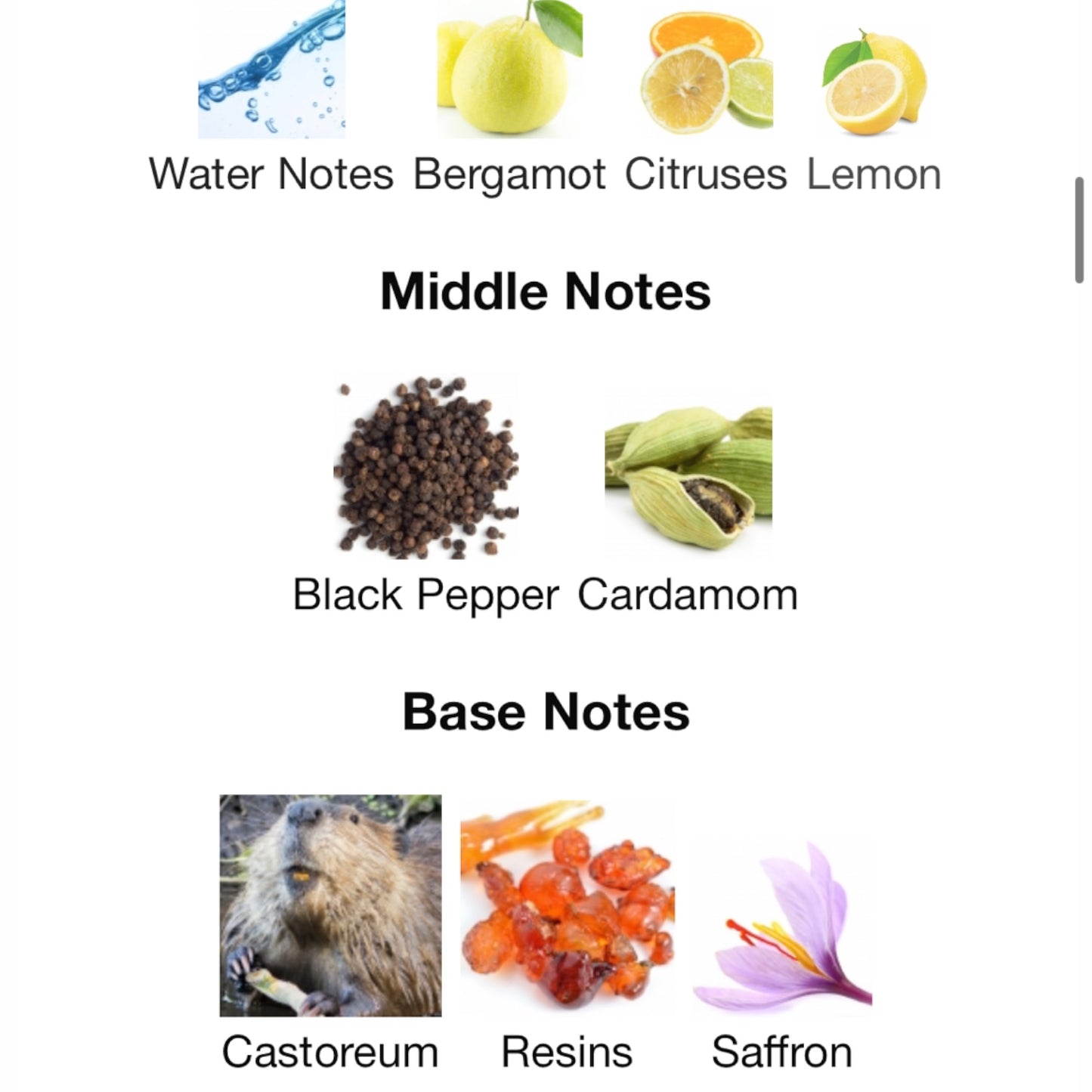 Atramental by Room 1015 Eau de Parfum