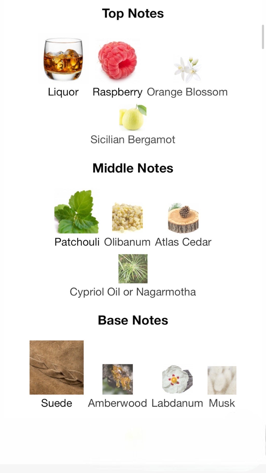 5th Avenue Royale by Elizabeth Arden Eau de Parfum